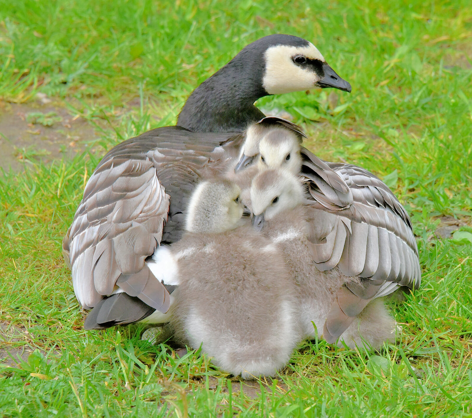 Valokuvaaja: Reijo Juurinen