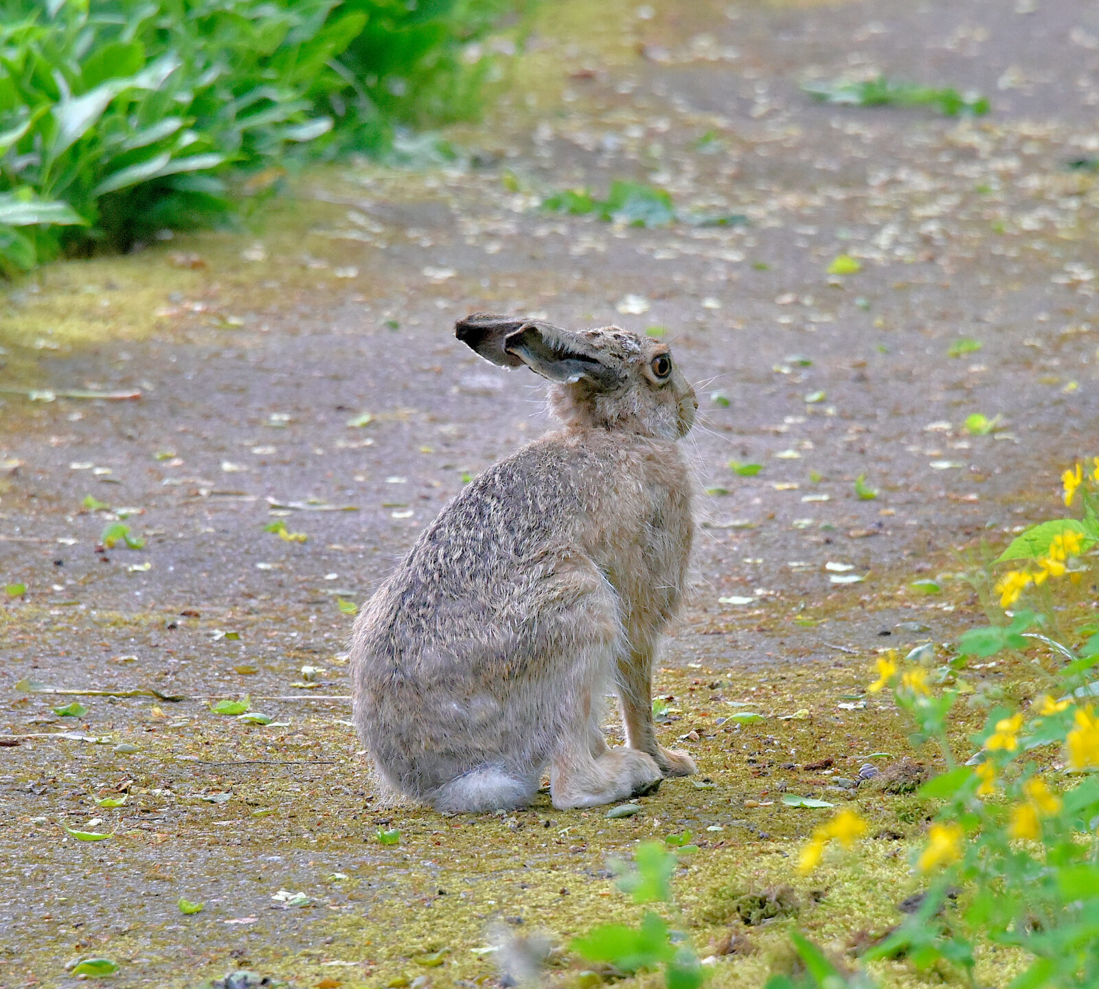 Valokuvaaja: Reijo Juurinen Valokuvaaja: Reijo Juurinen