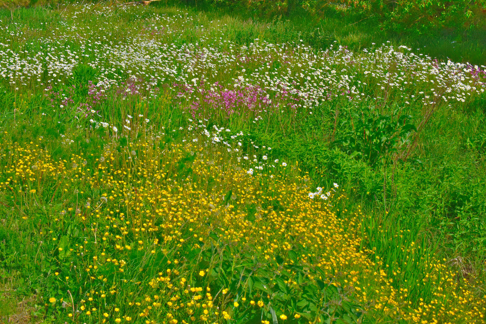 Valokuvaaja: Reijo Juurinen