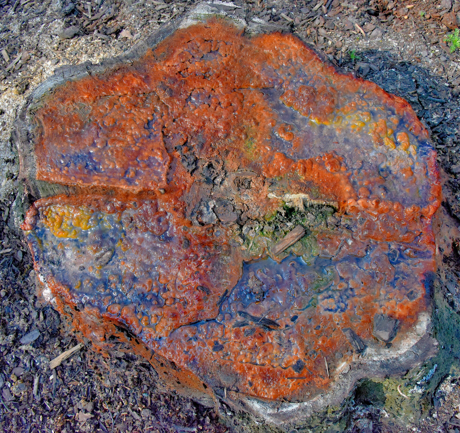 Valokuvaaja: Reijo Juurinen