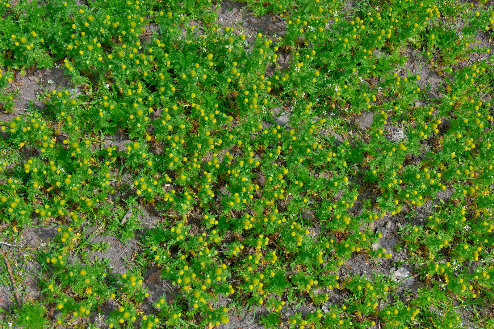 Valokuvaaja: Reijo Juurinen