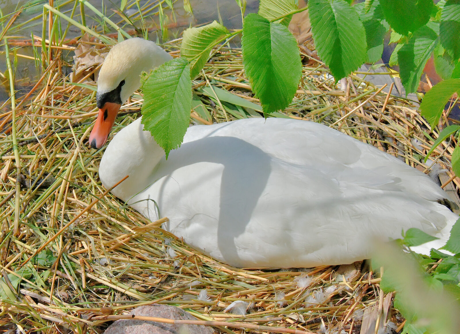 Valokuvaaja: Reijo Juurinen