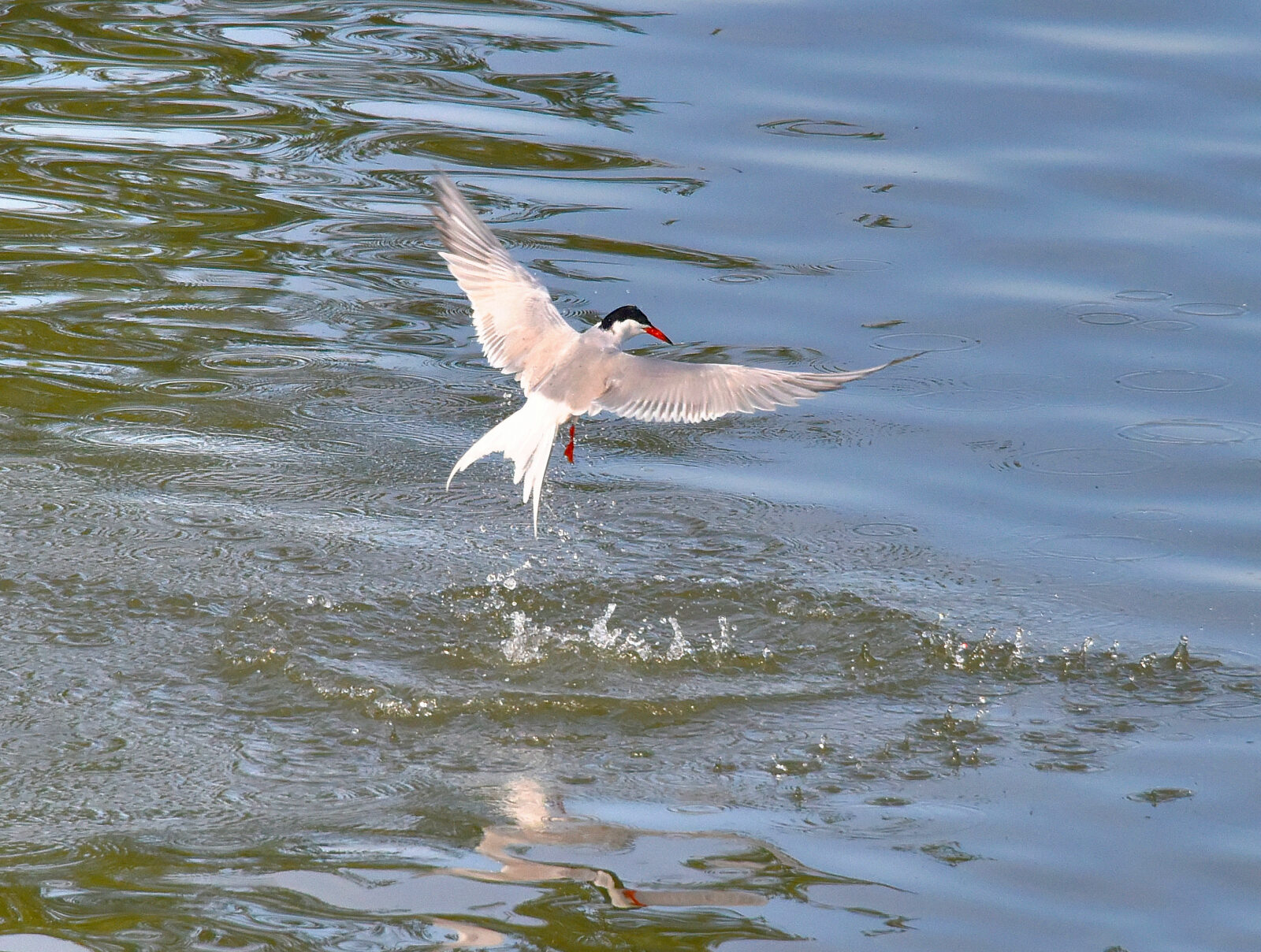 Valokuvaaja: Reijo Juurinen
