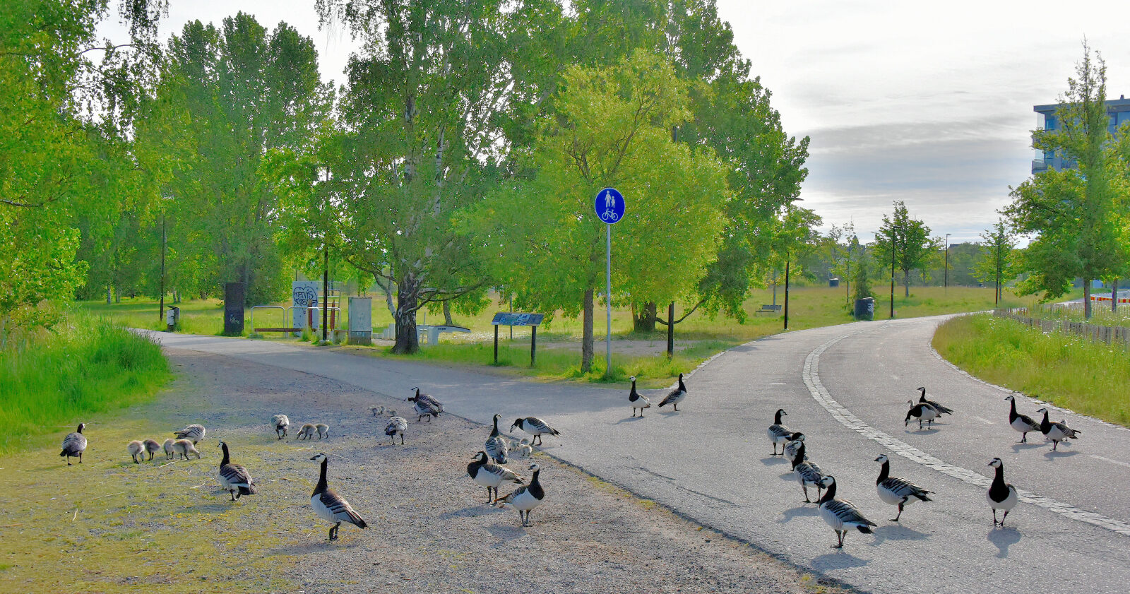 Valokuvaaja: Reijo Juurinen