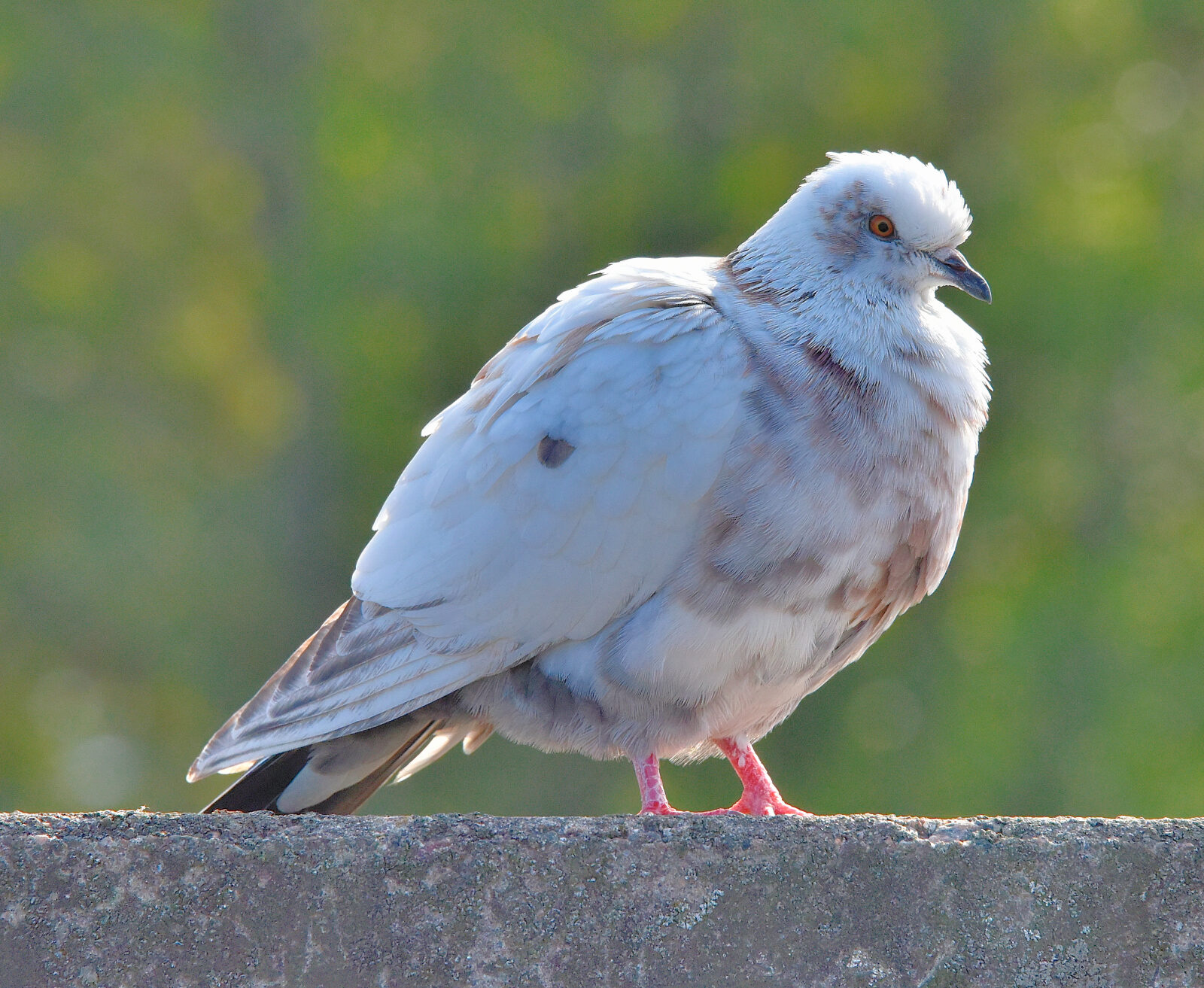 Valokuvaaja: Reijo Juurinen