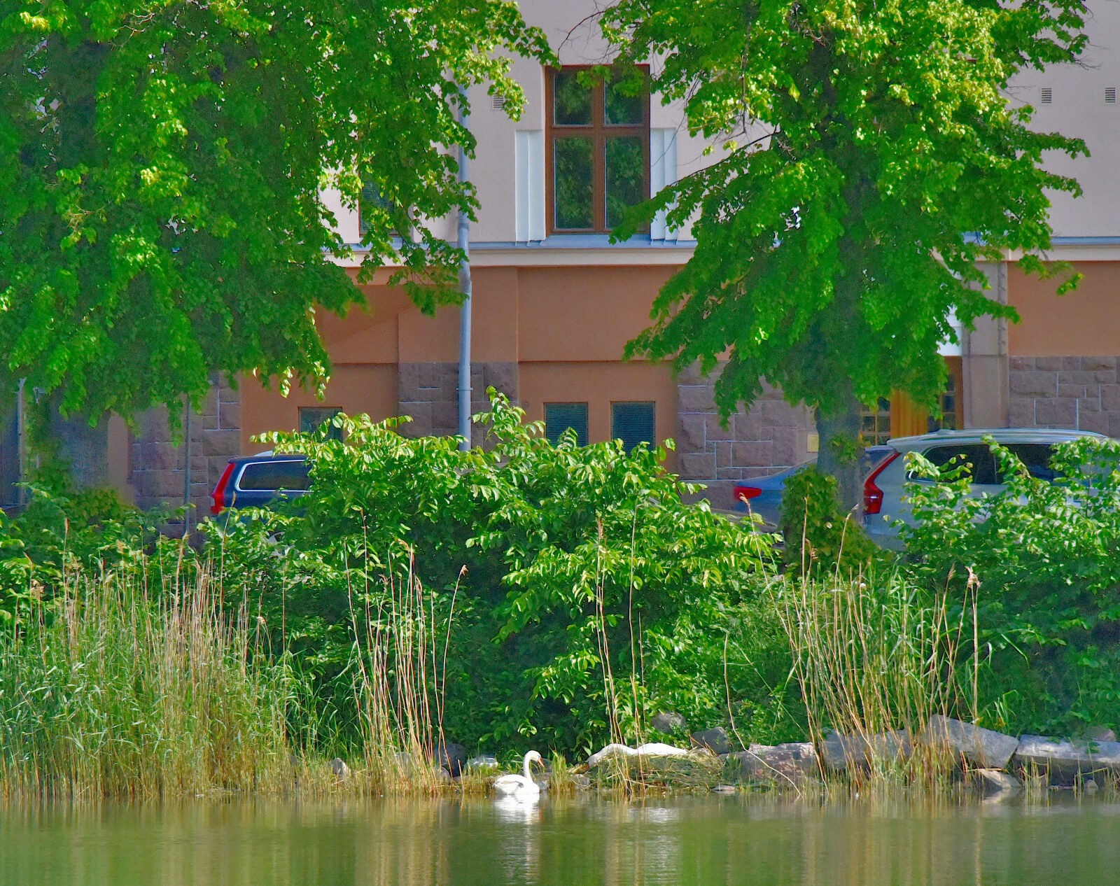 Valokuvaaja: Reijo Juurinen