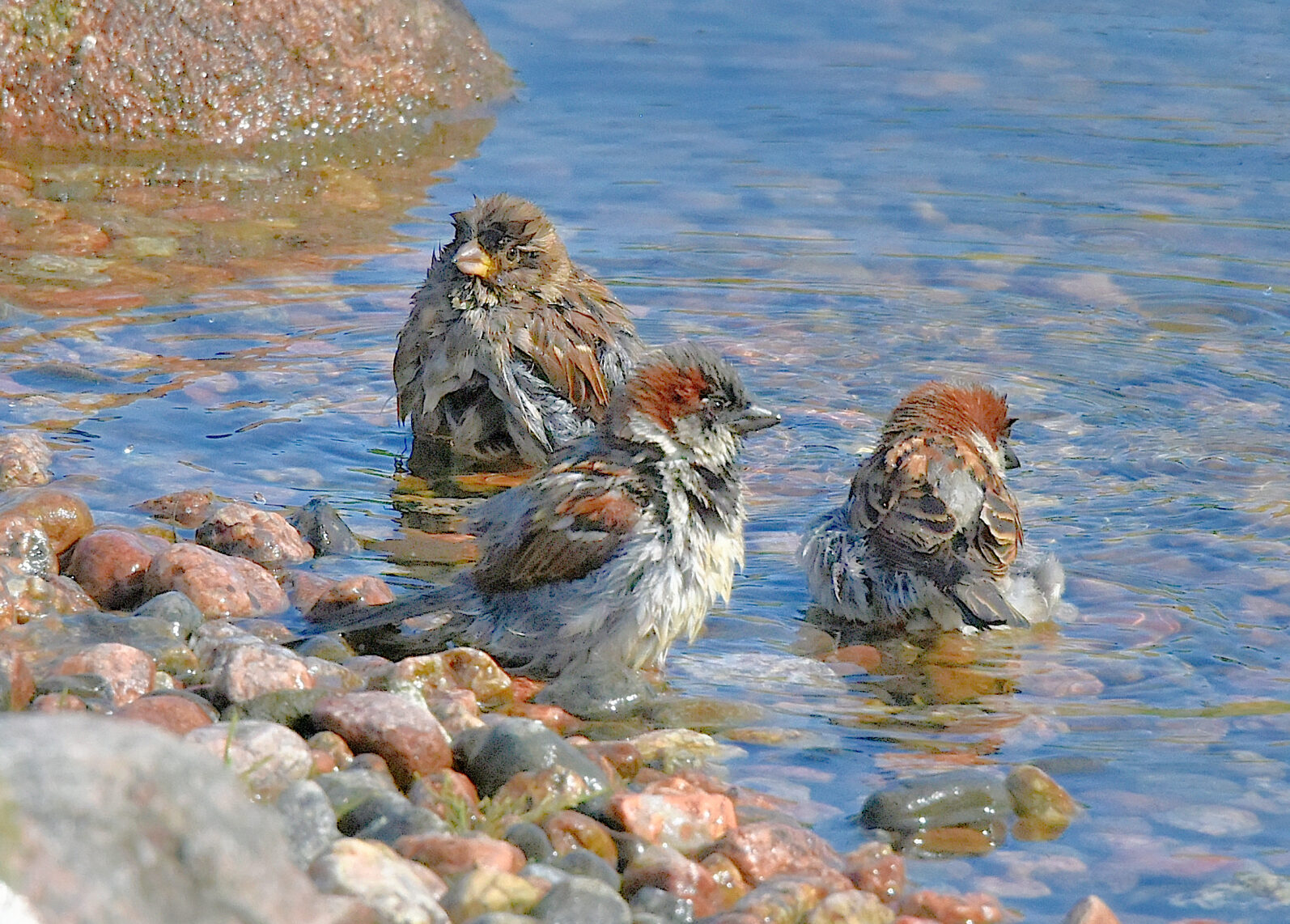 Valokuvaaja: Reijo Juurinen