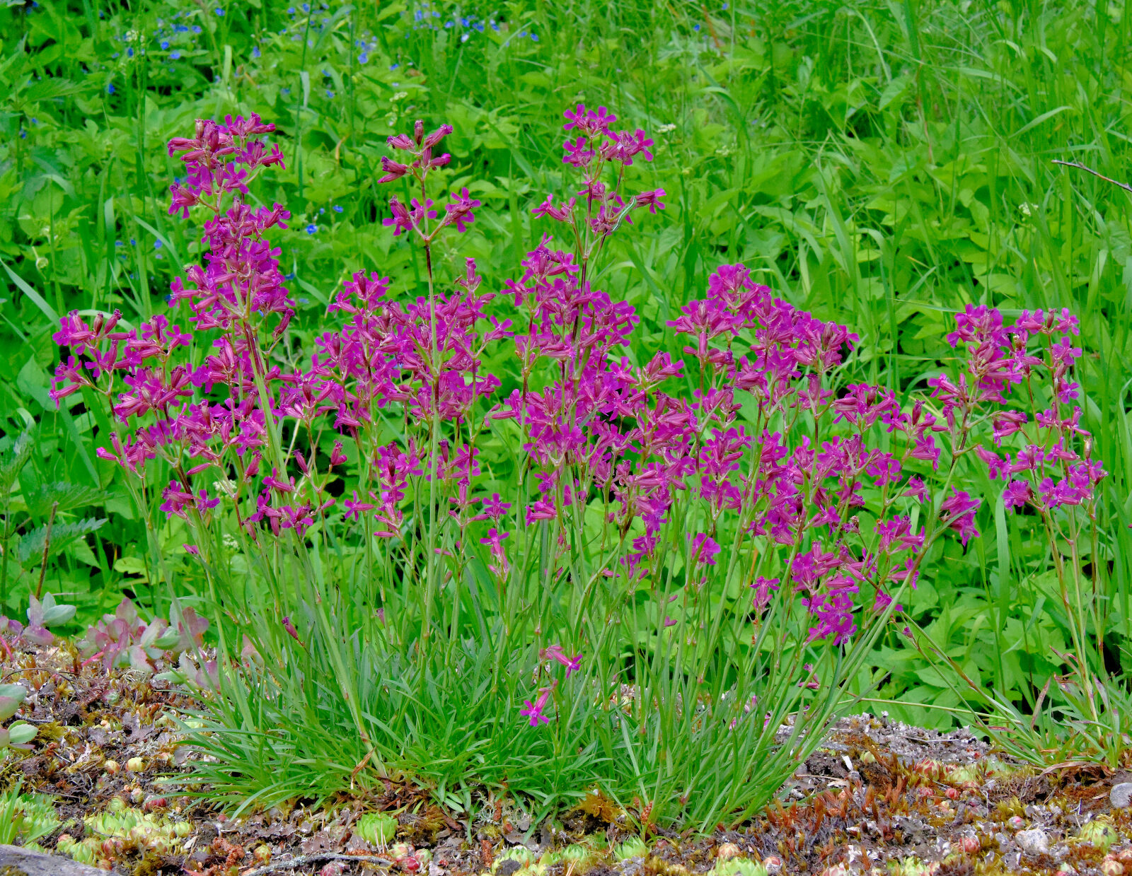Valokuvaaja: Reijo Juurinen Valokuvaaja: Reijo Juurinen