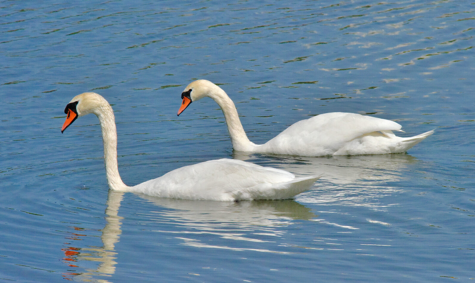 Valokuvaaja: Reijo Juurinen Valokuvaaja: Reijo Juurinen