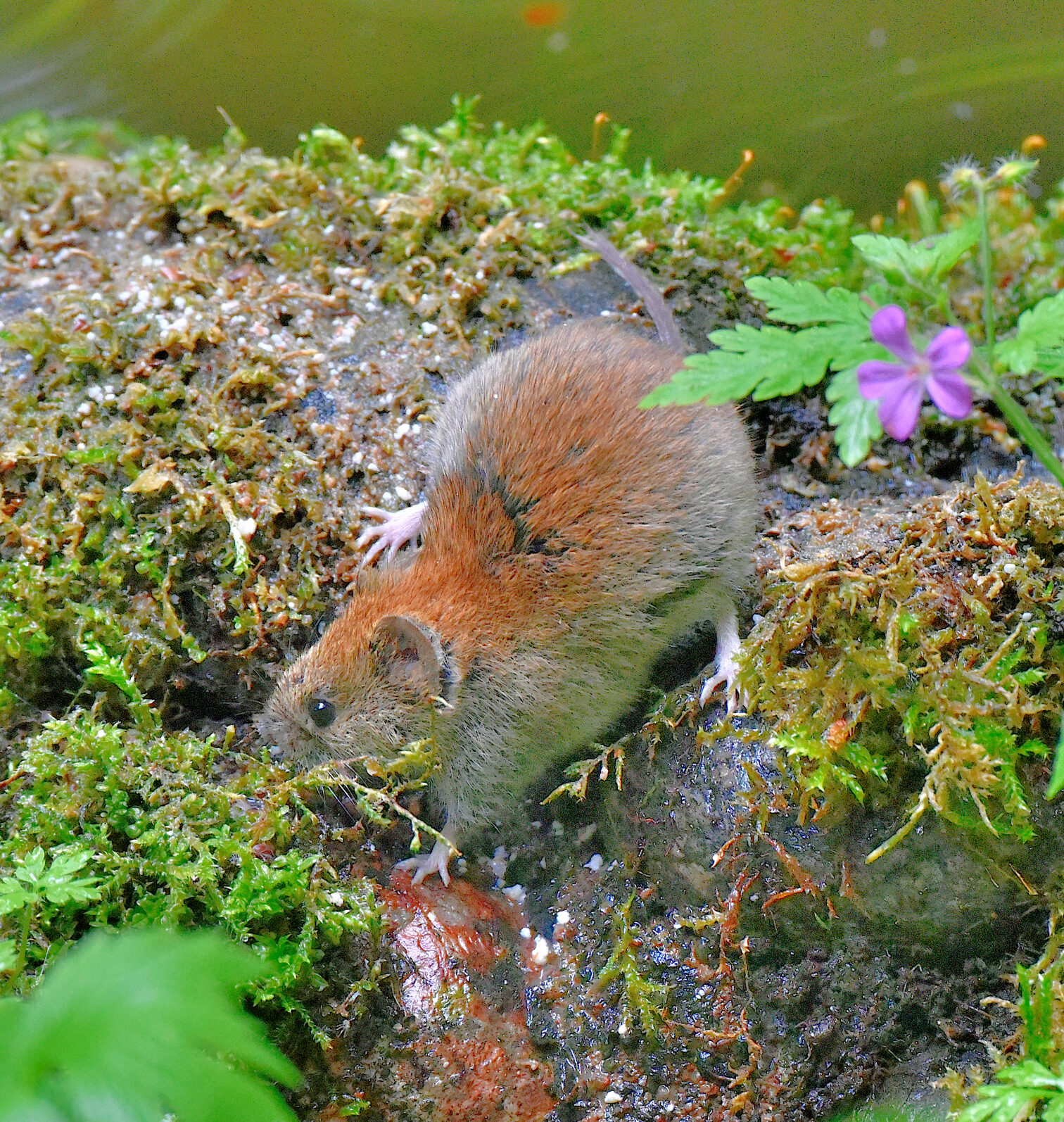 Valokuvaaja: Reijo Juurinen