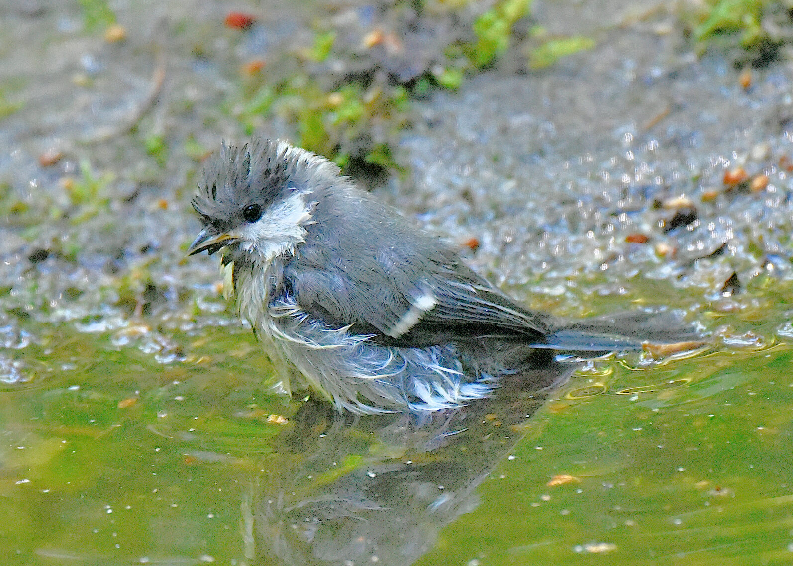 Valokuvaaja: Reijo Juurinen