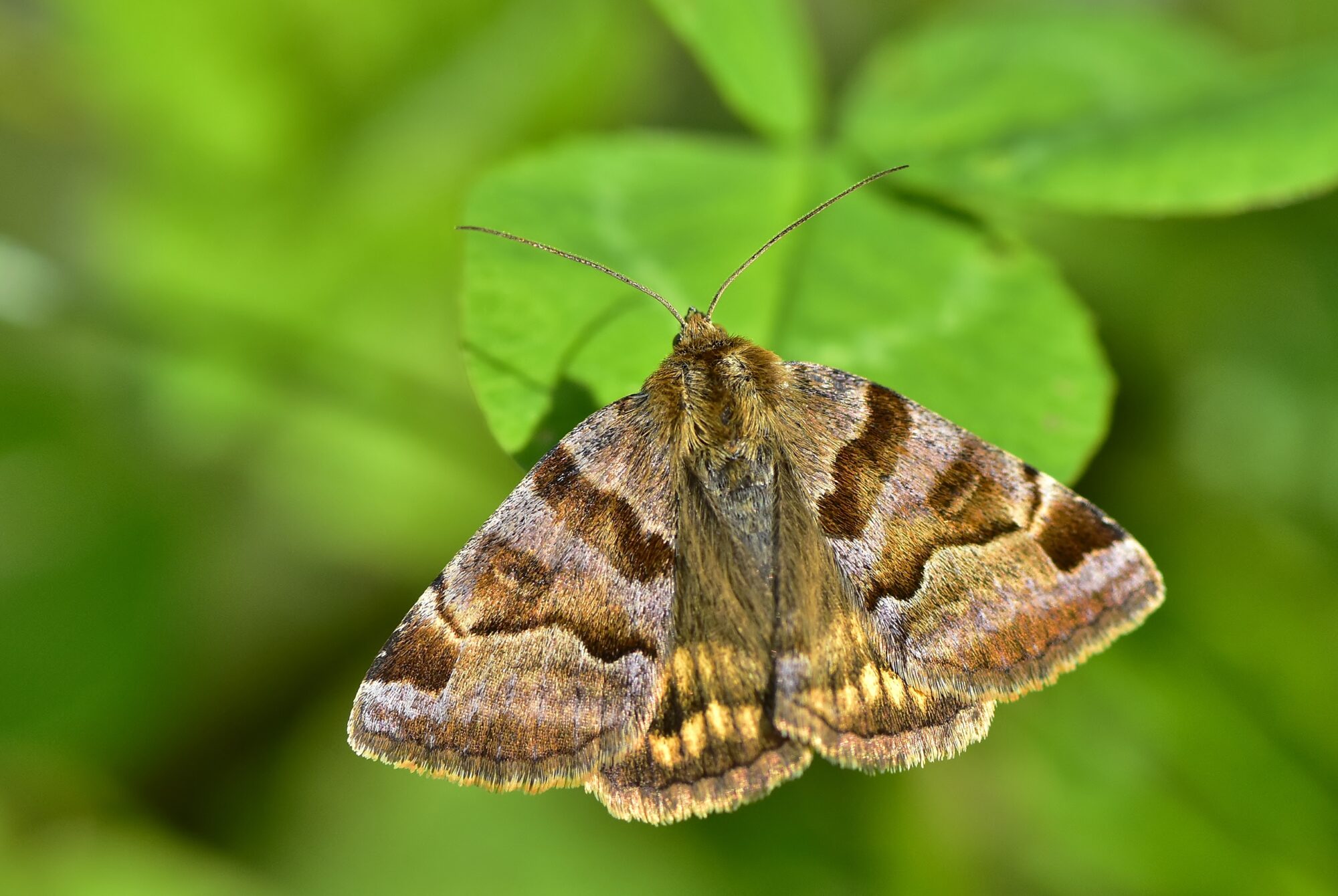 Valokuvaaja: Markku Pelkonen