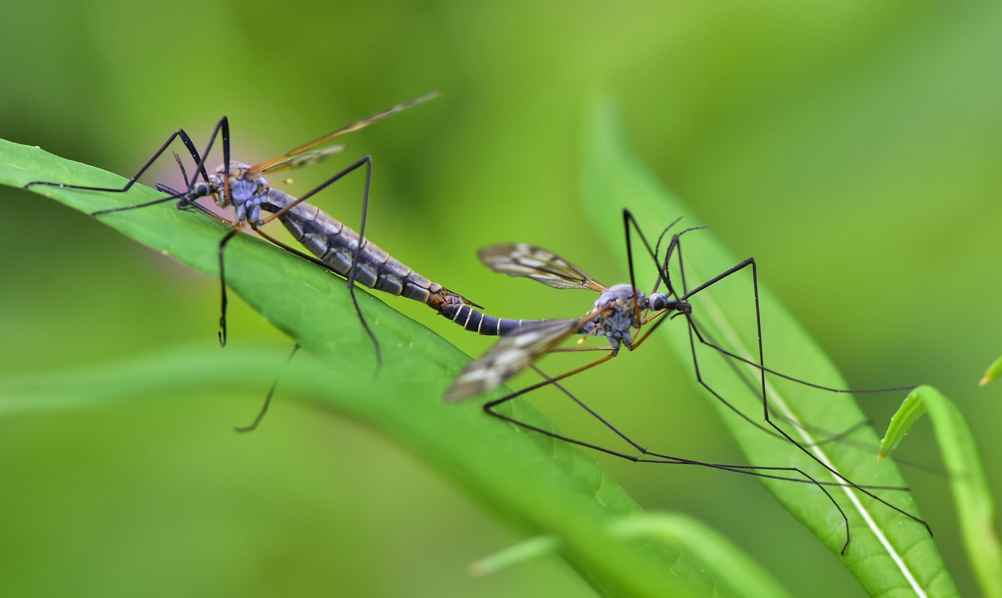 Valokuvaaja: Markku Pelkonen