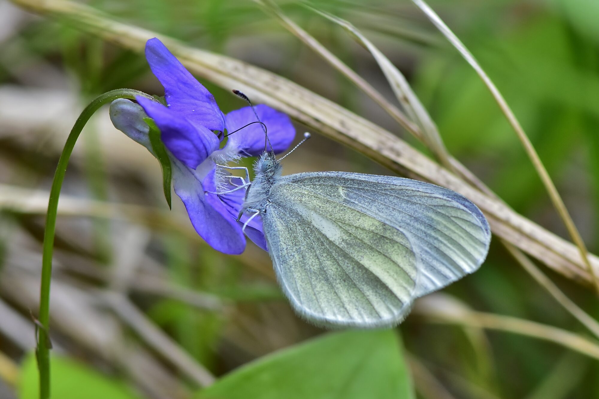 Valokuvaaja: Markku Pelkonen