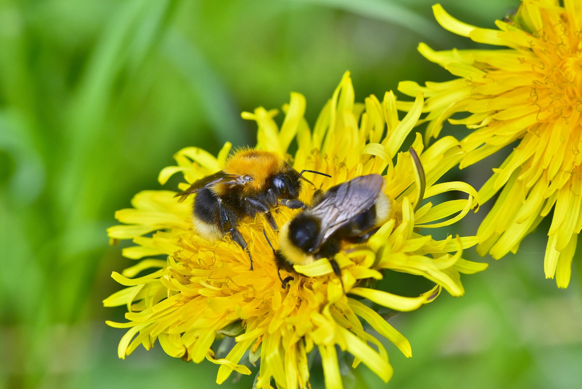 Valokuvaaja: Markku Pelkonen