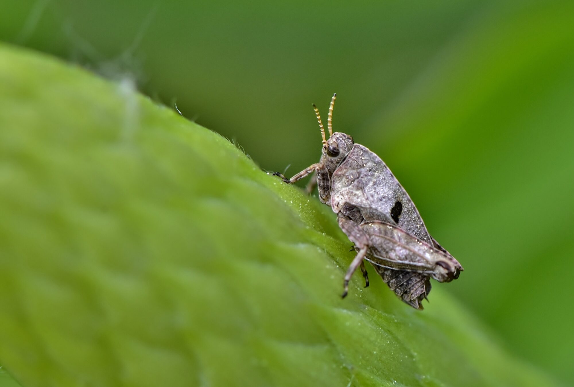 Valokuvaaja: Markku Pelkonen