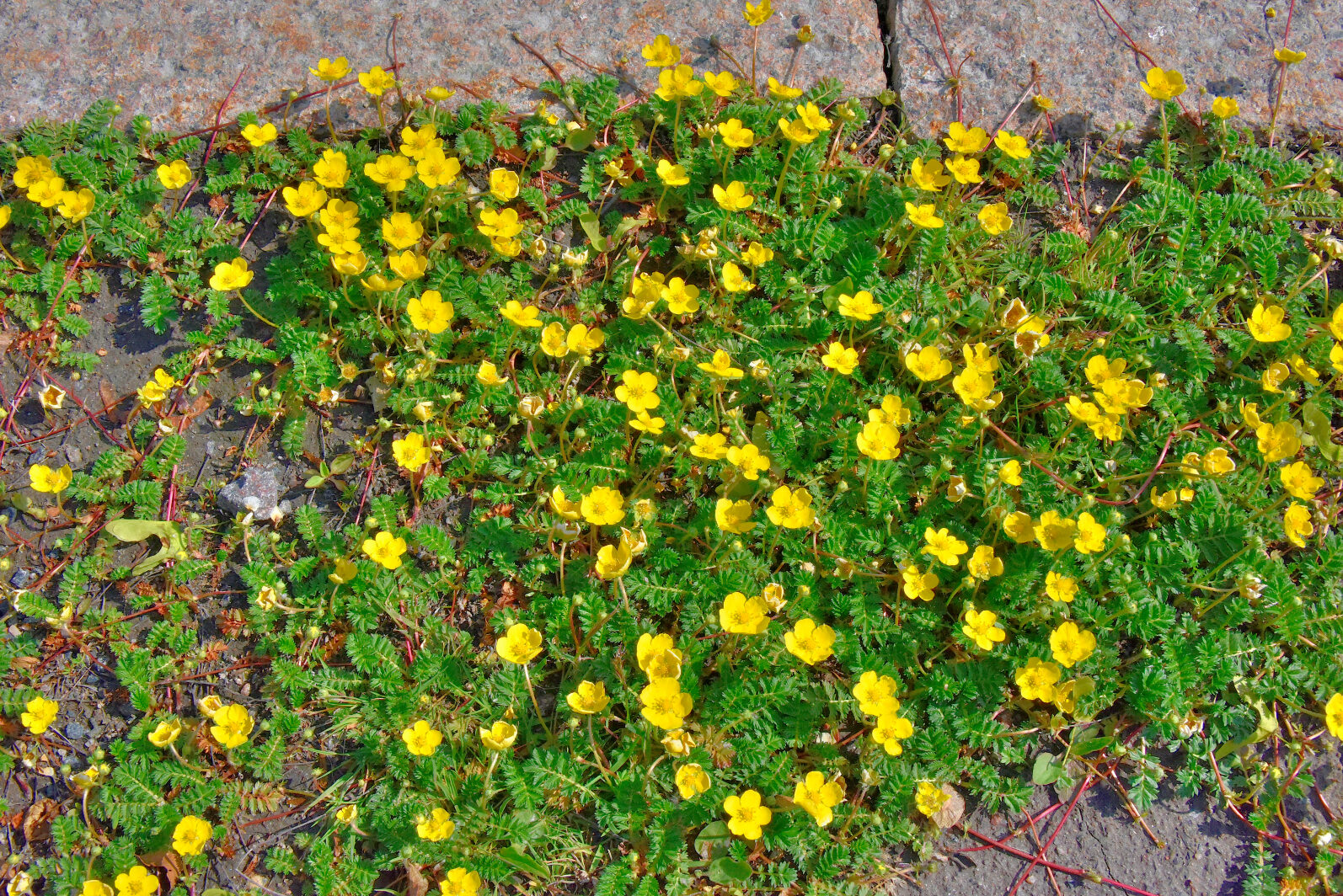 Valokuvaaja: Reijo Juurinen