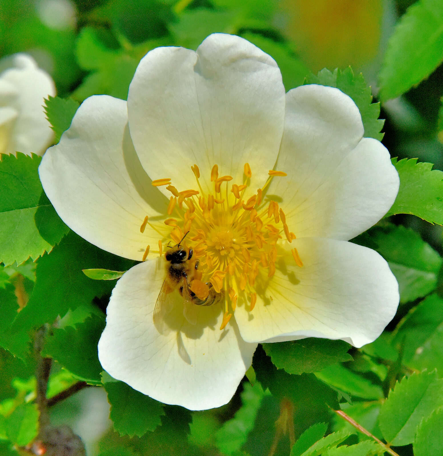 Valokuvaaja: Reijo Juurinen