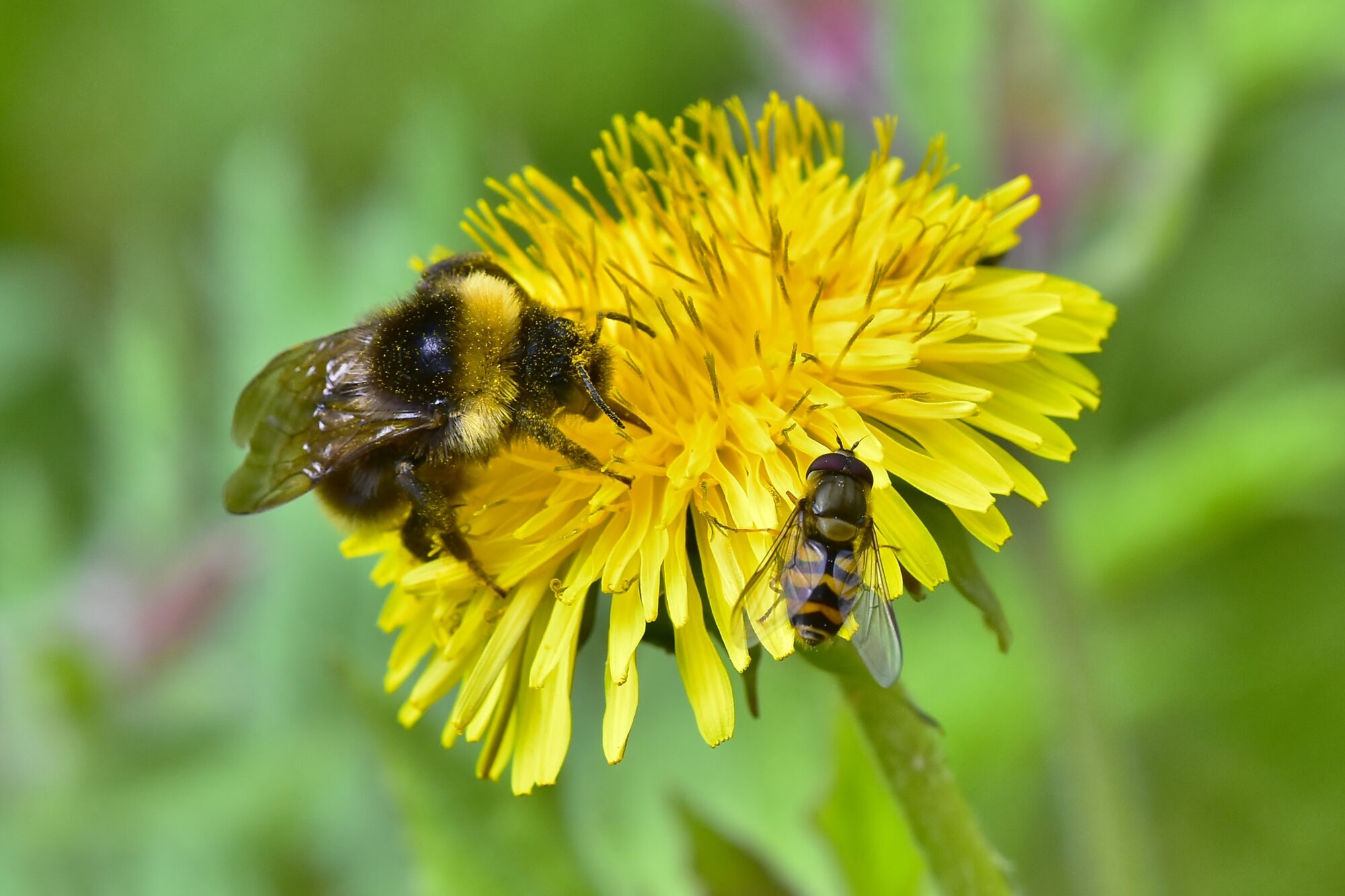Valokuvaaja: Markku Pelkonen Valokuvaaja: Markku Pelkonen