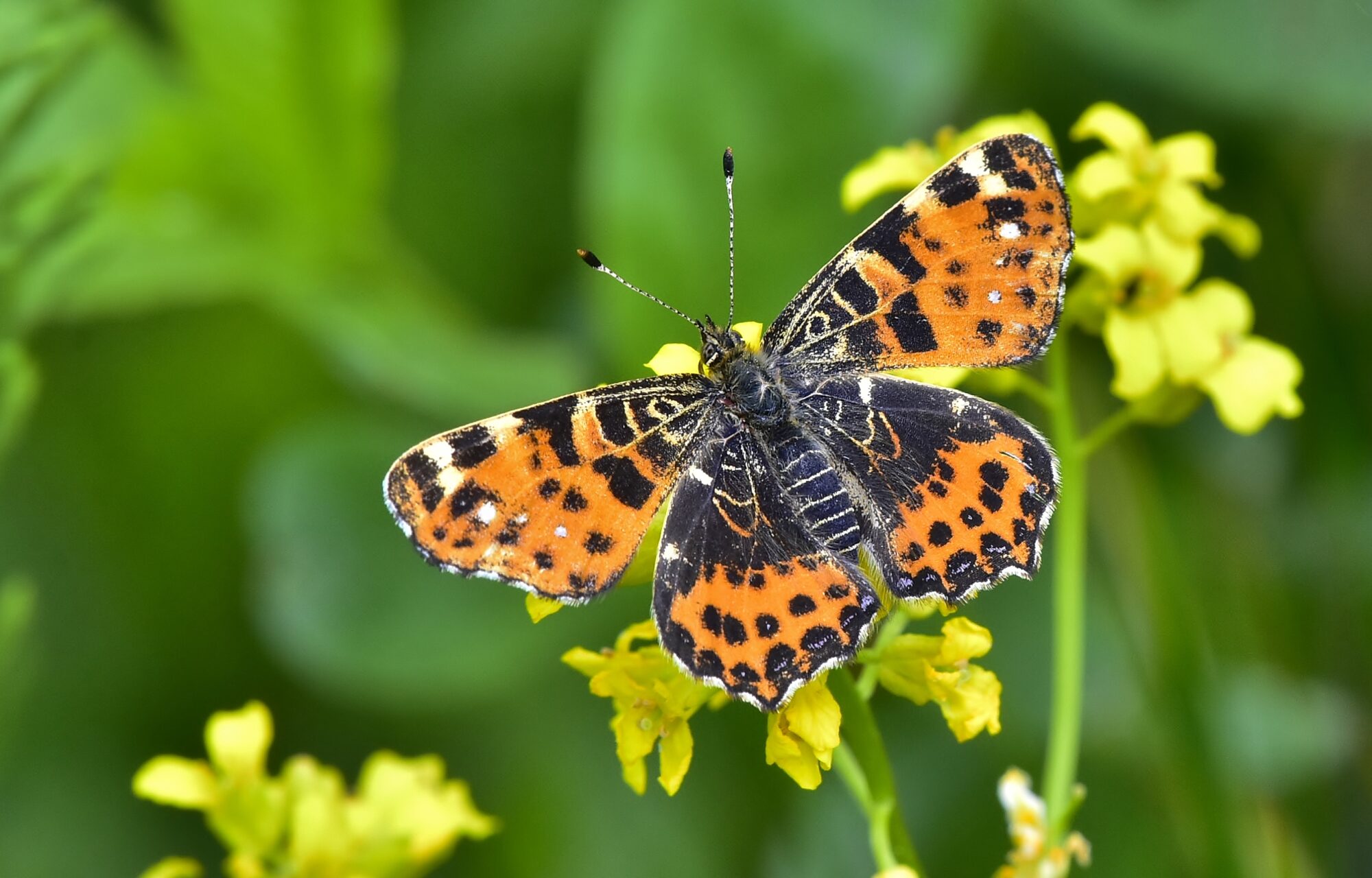 Valokuvaaja: Markku Pelkonen