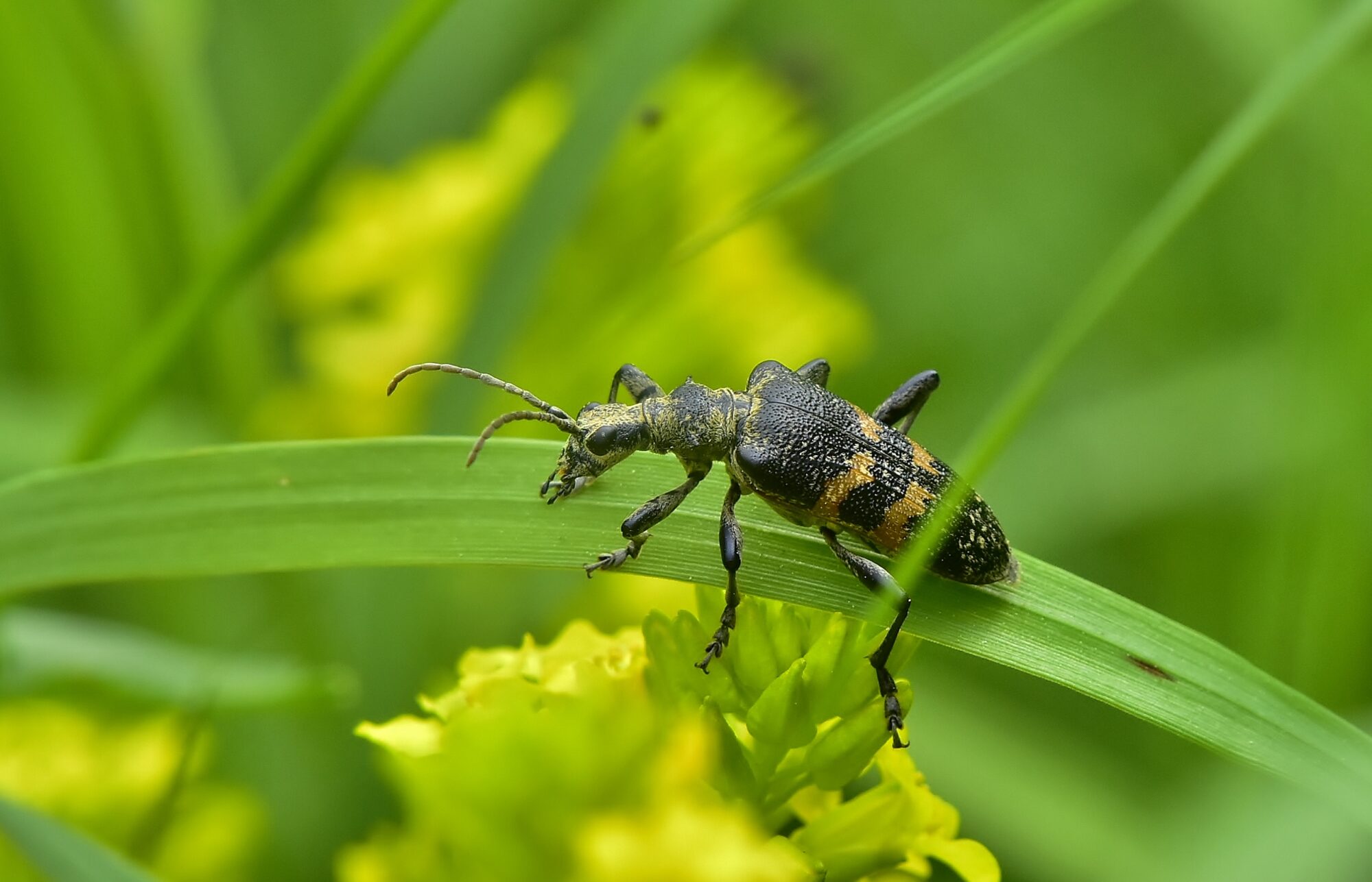 Valokuvaaja: Markku Pelkonen Valokuvaaja: Markku Pelkonen