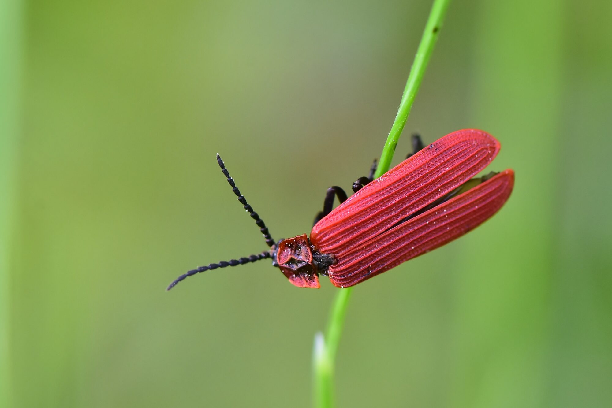 Valokuvaaja: Markku Pelkonen Valokuvaaja: Markku Pelkonen