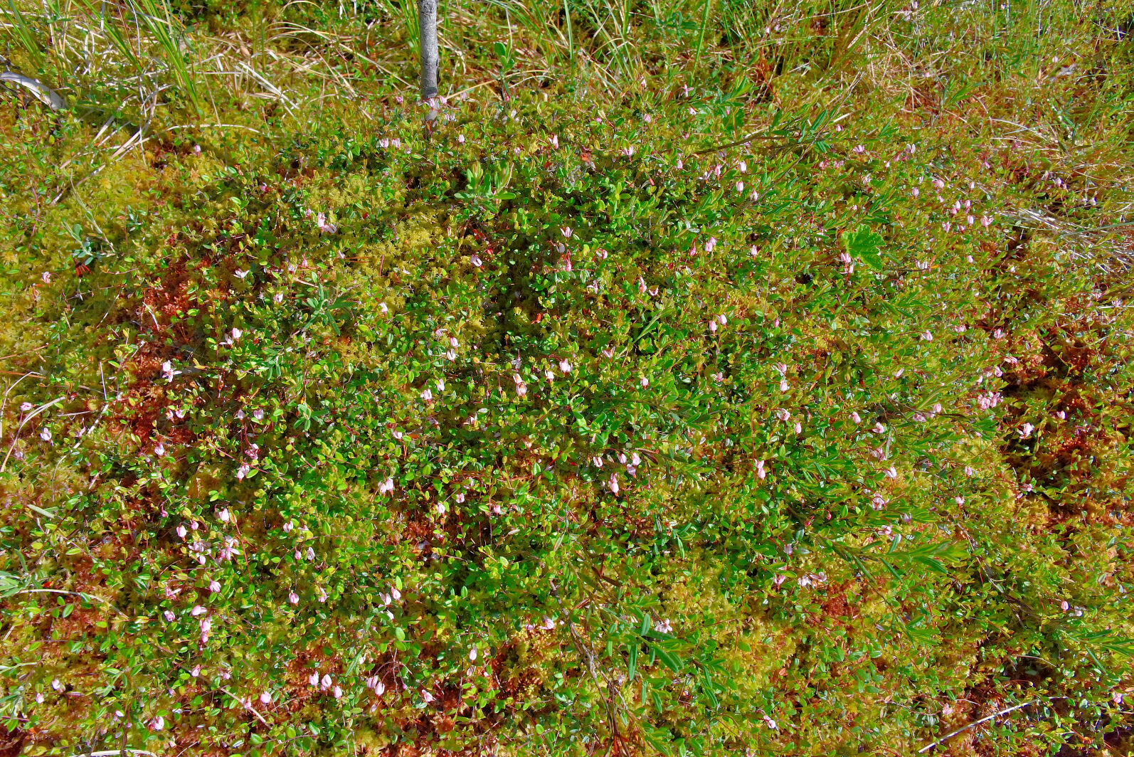 Valokuvaaja: Reijo Juurinen