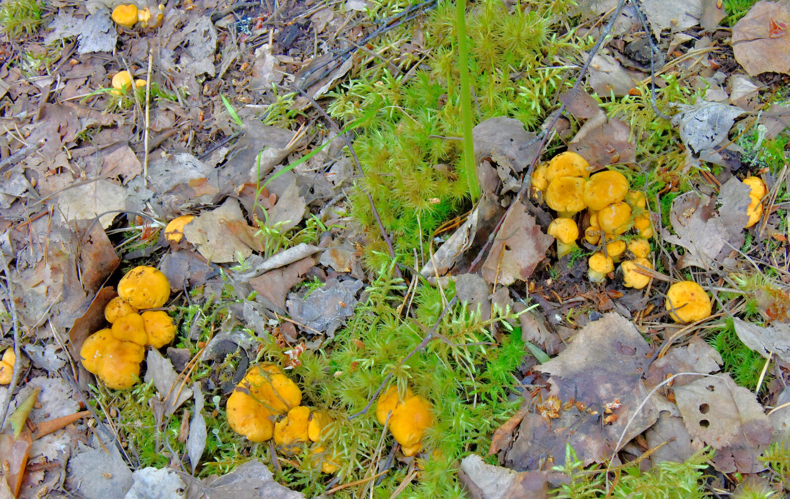 Valokuvaaja: Reijo Juurinen