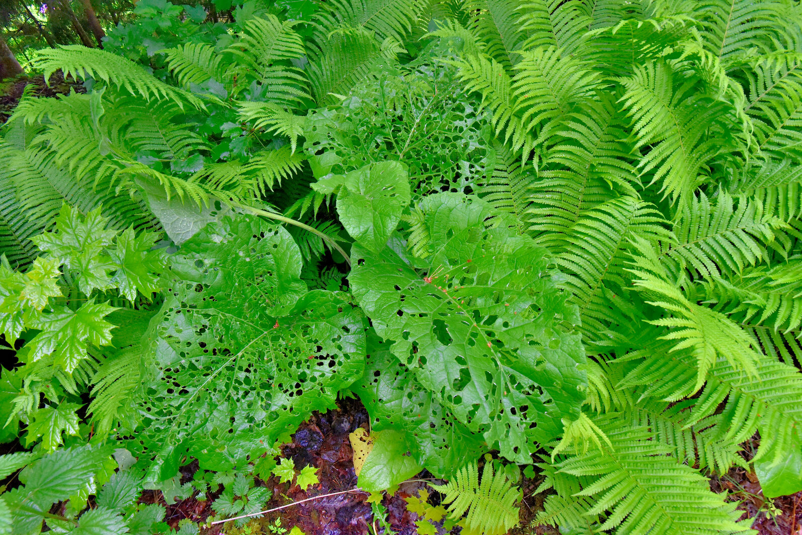 Valokuvaaja: Reijo Juurinen