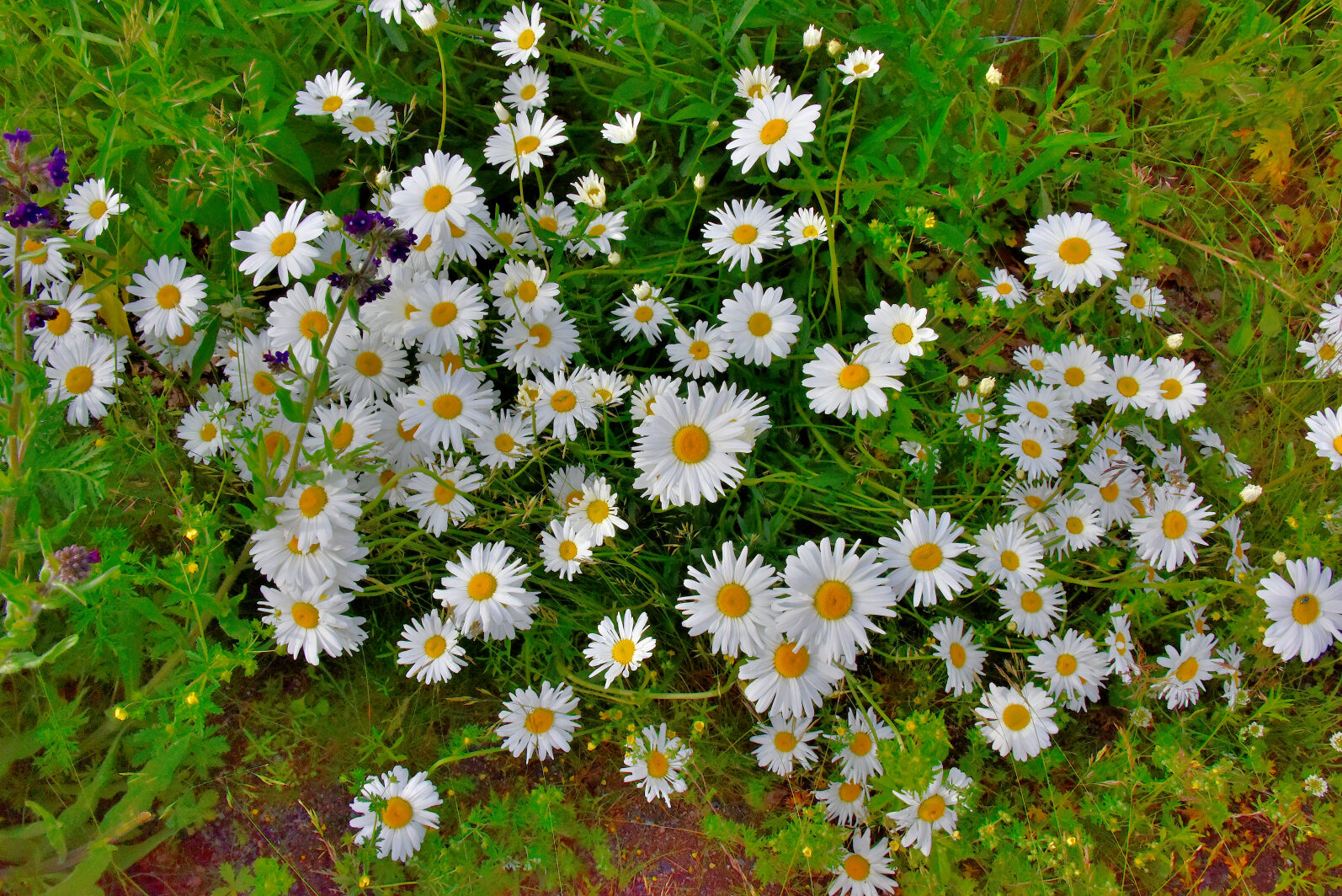 Valokuvaaja: Reijo Juurinen