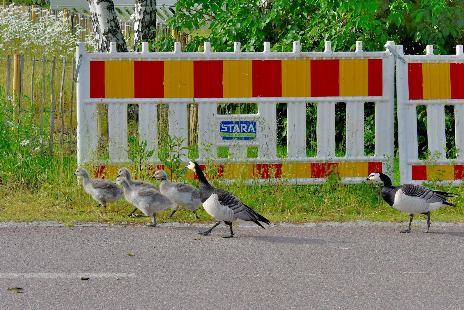Valokuvaaja: Reijo Juurinen