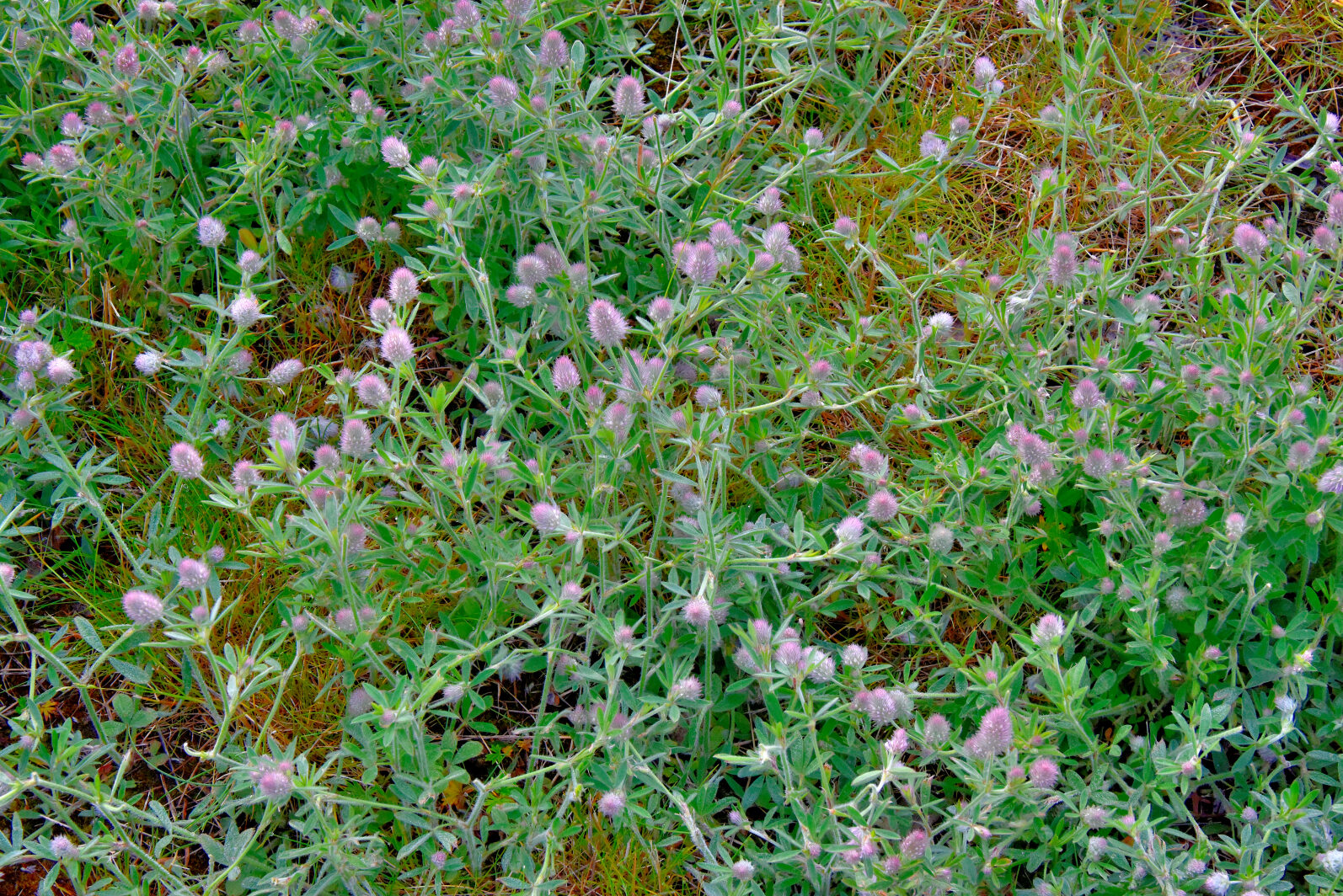 Valokuvaaja: Reijo Juurinen