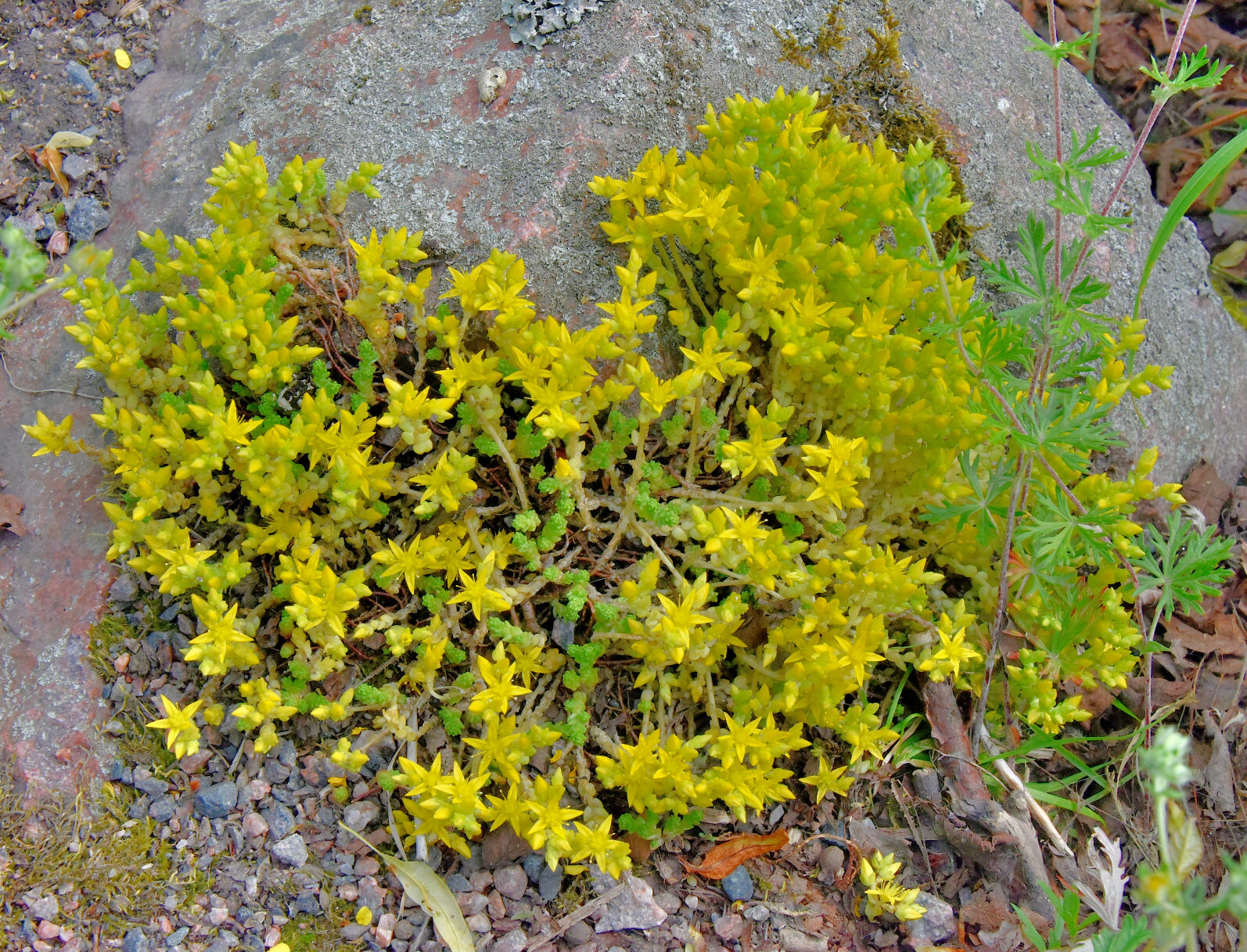 Valokuvaaja: Reijo Juurinen