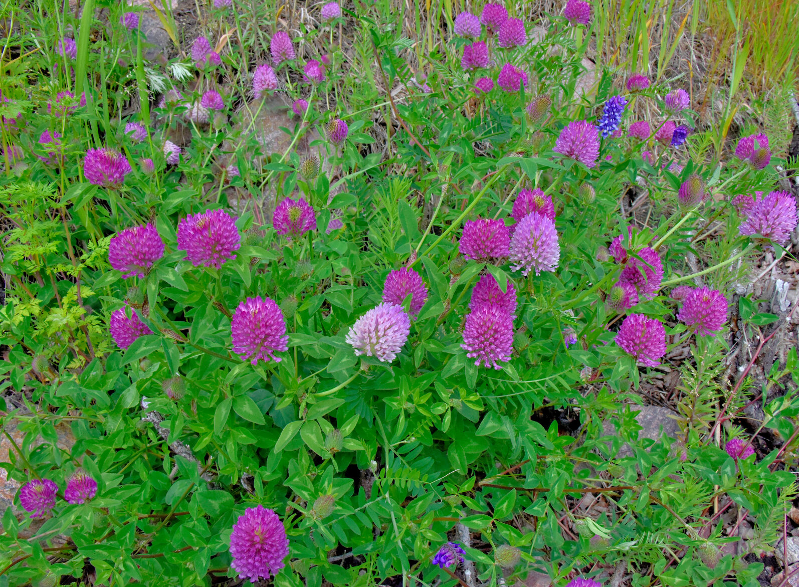 Valokuvaaja: Reijo Juurinen