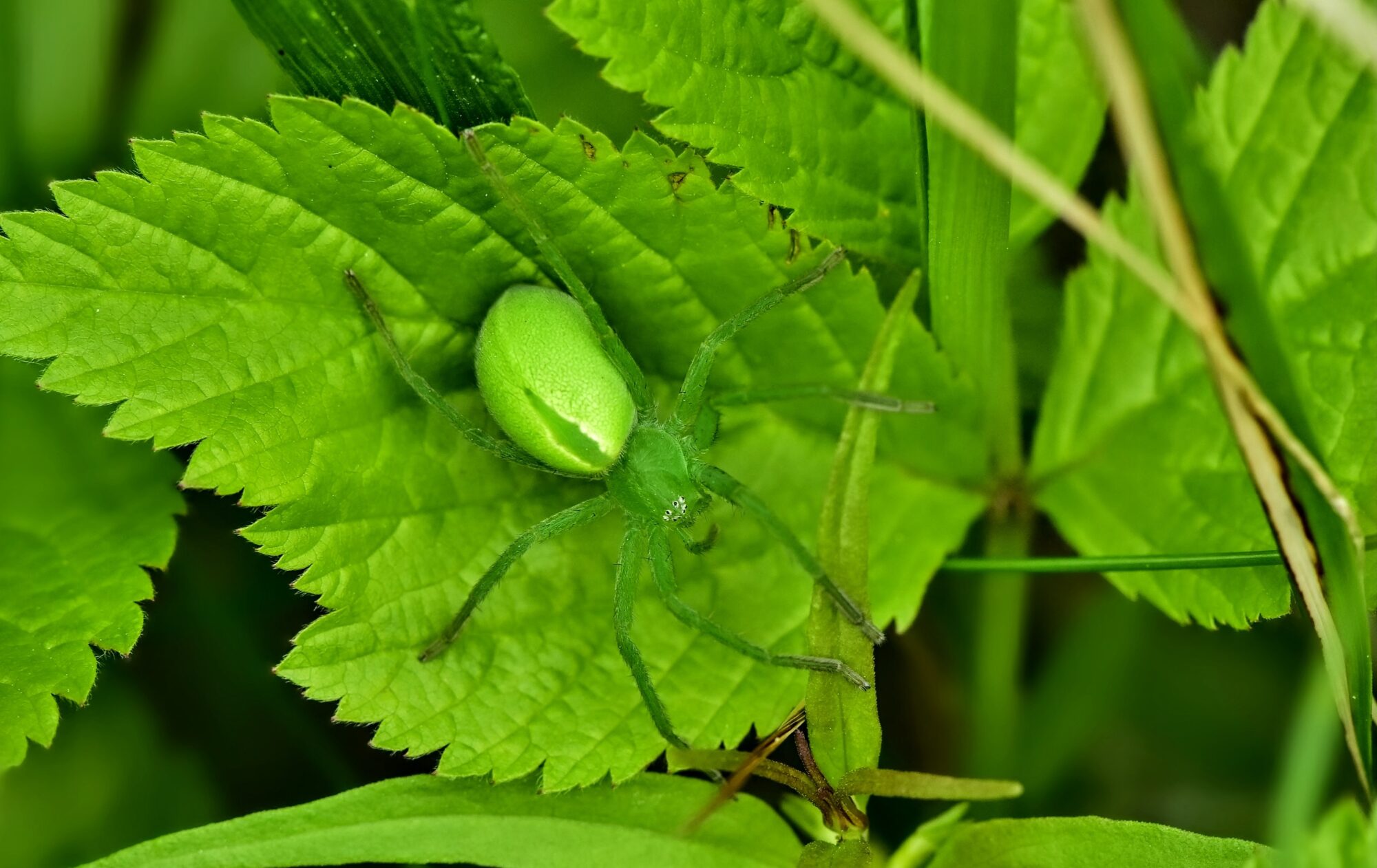 Valokuvaaja: Markku Pelkonen