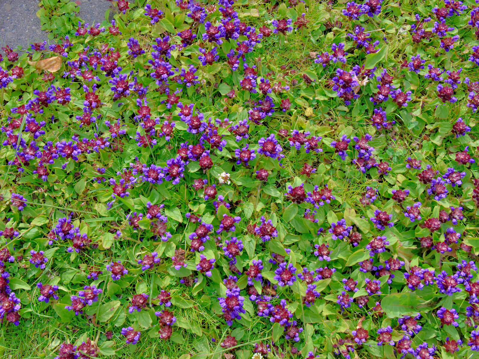 Valokuvaaja: Reijo Juurinen