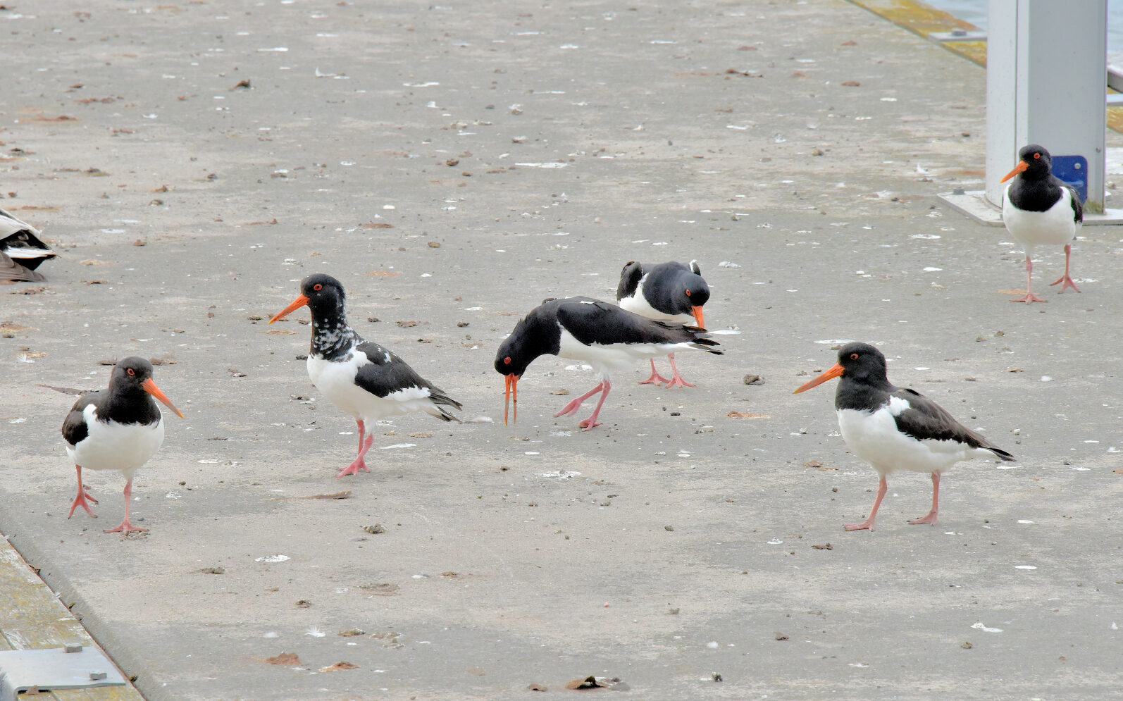 Valokuvaaja: Reijo Juurinen