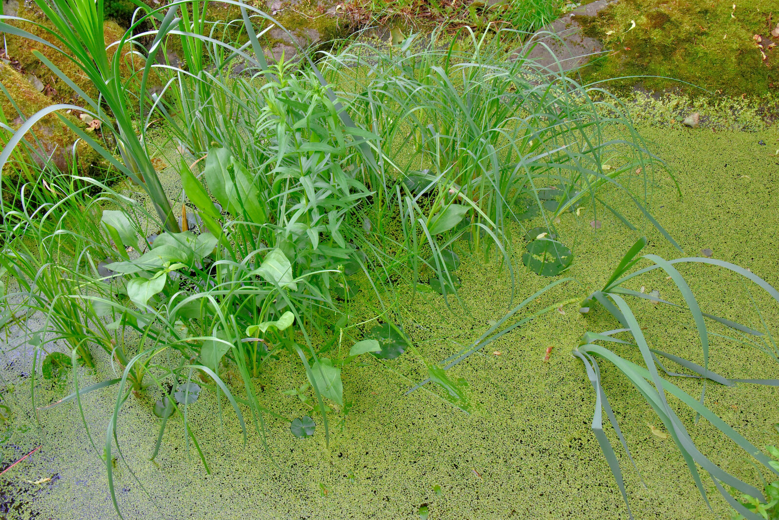 Valokuvaaja: Reijo Juurinen