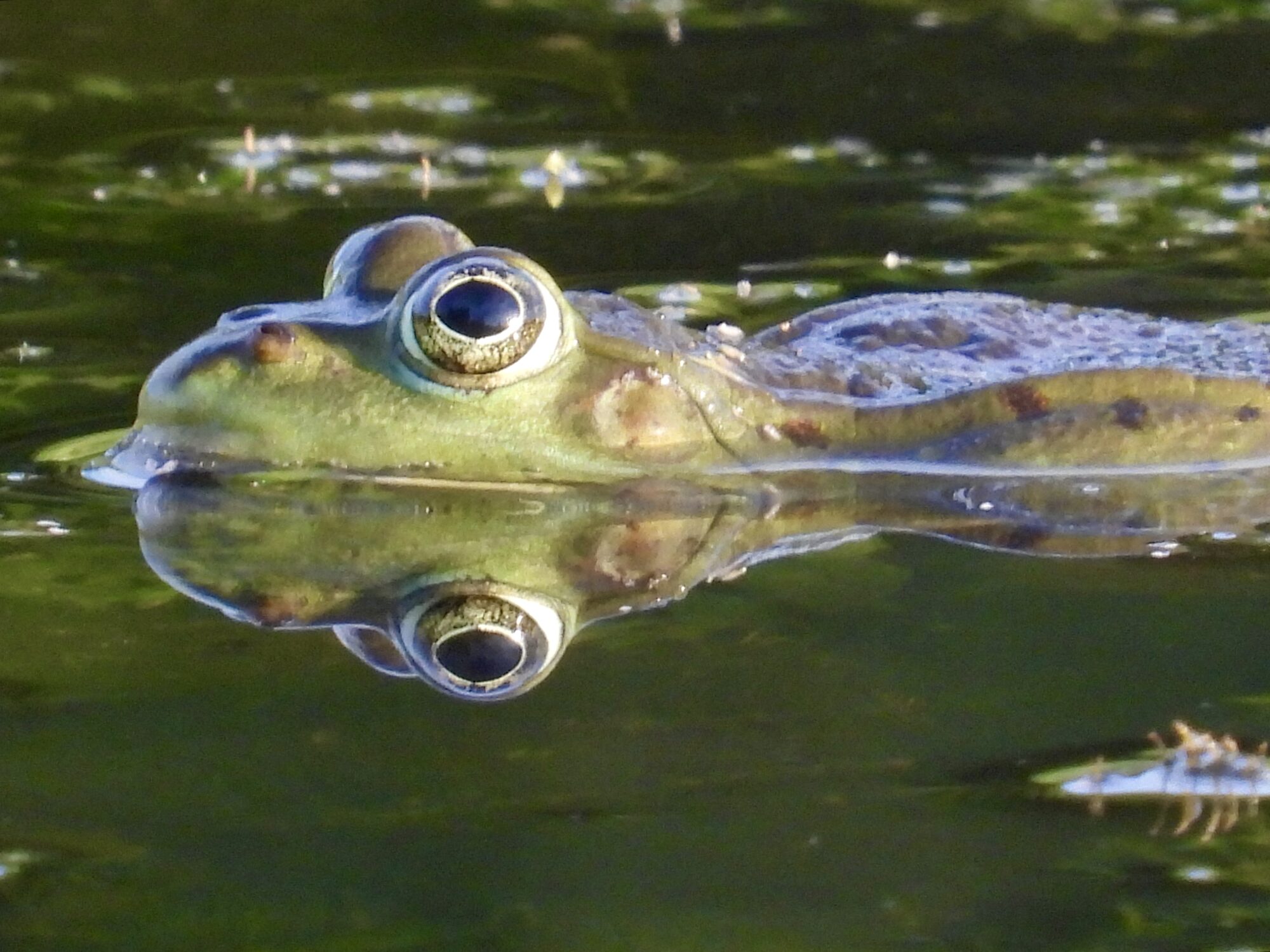 Valokuvaaja: Juhani Peltonen