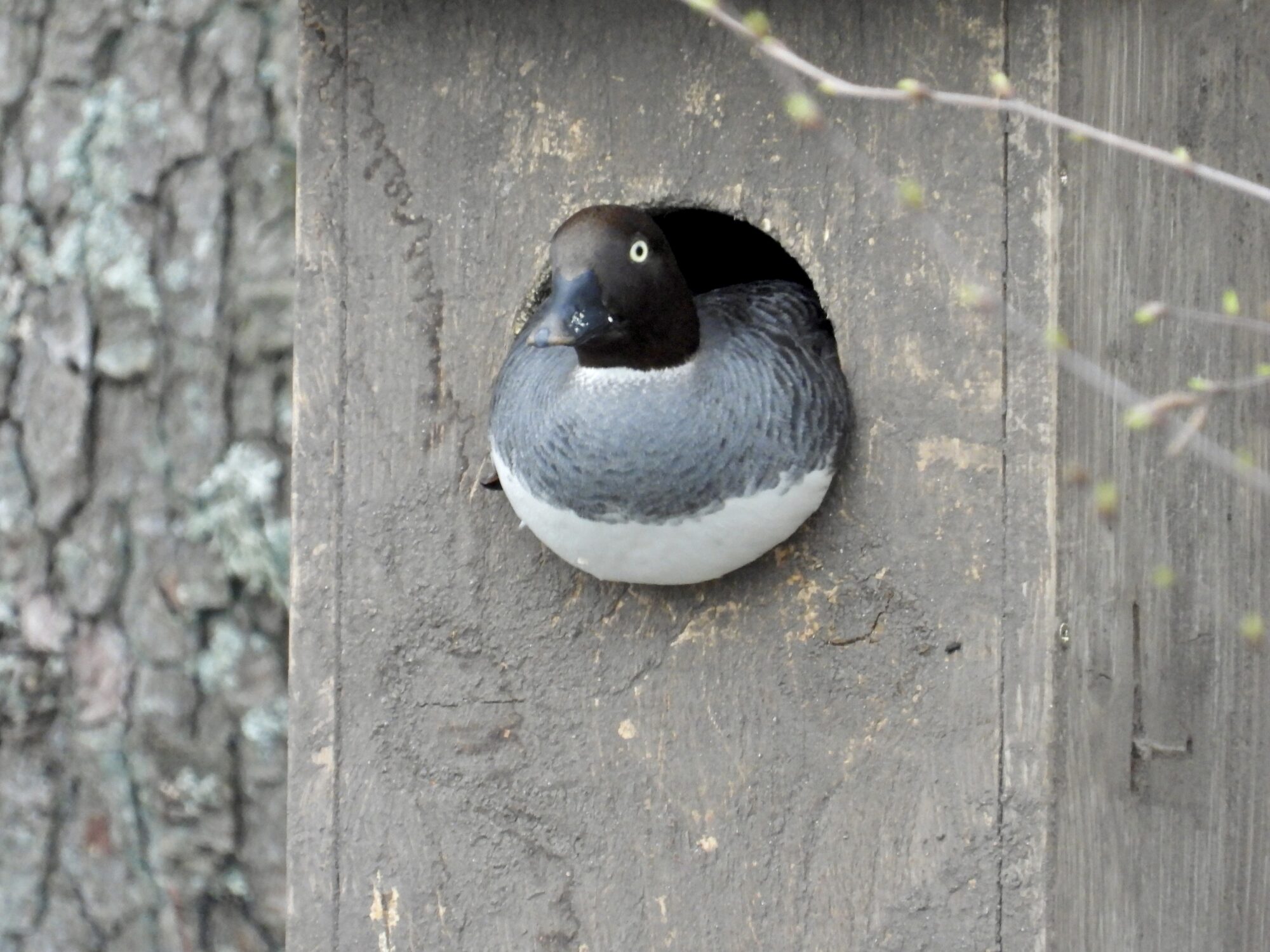 Valokuvaaja: Juhani Peltonen