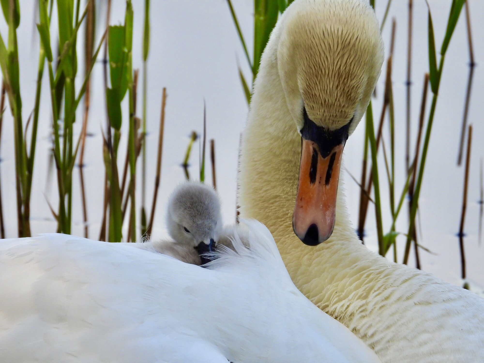 Valokuvaaja: Juhani Peltonen