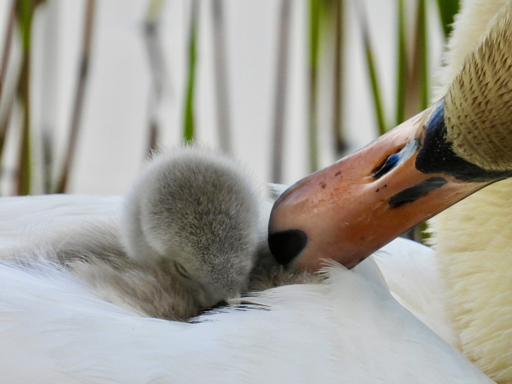 Valokuvaaja: Juhani Peltonen
