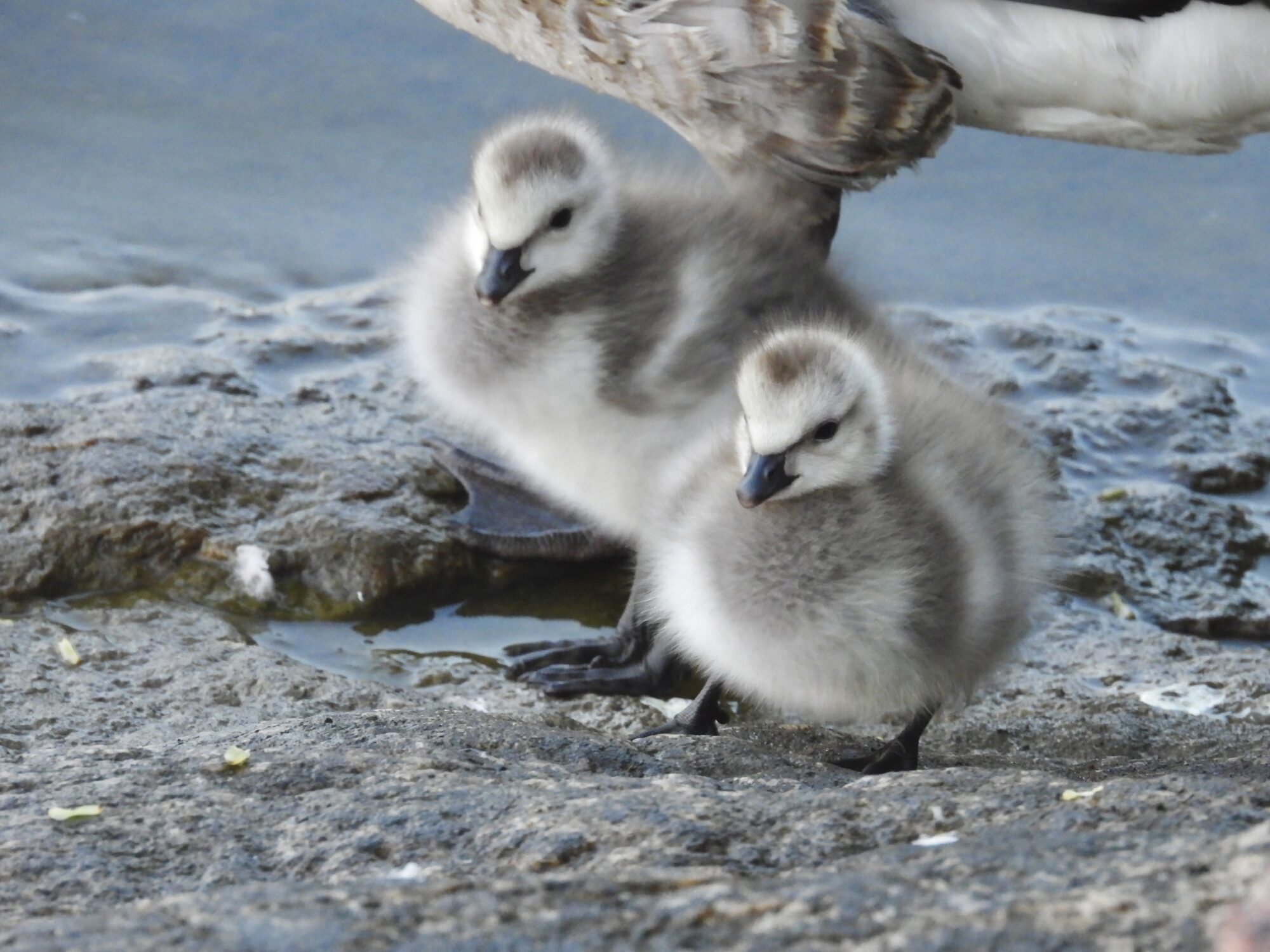 Valokuvaaja: Juhani Peltonen