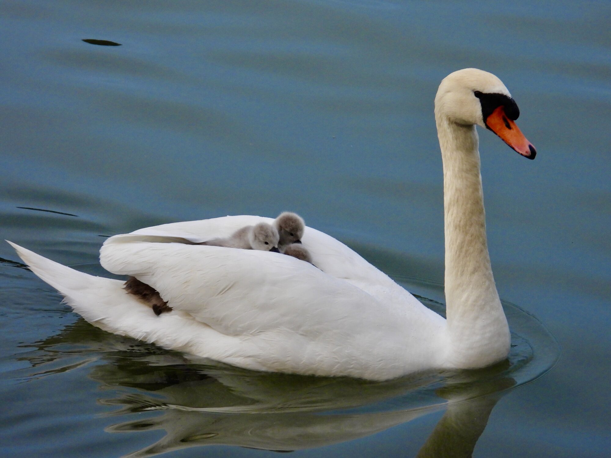 Valokuvaaja: Juhani Peltonen