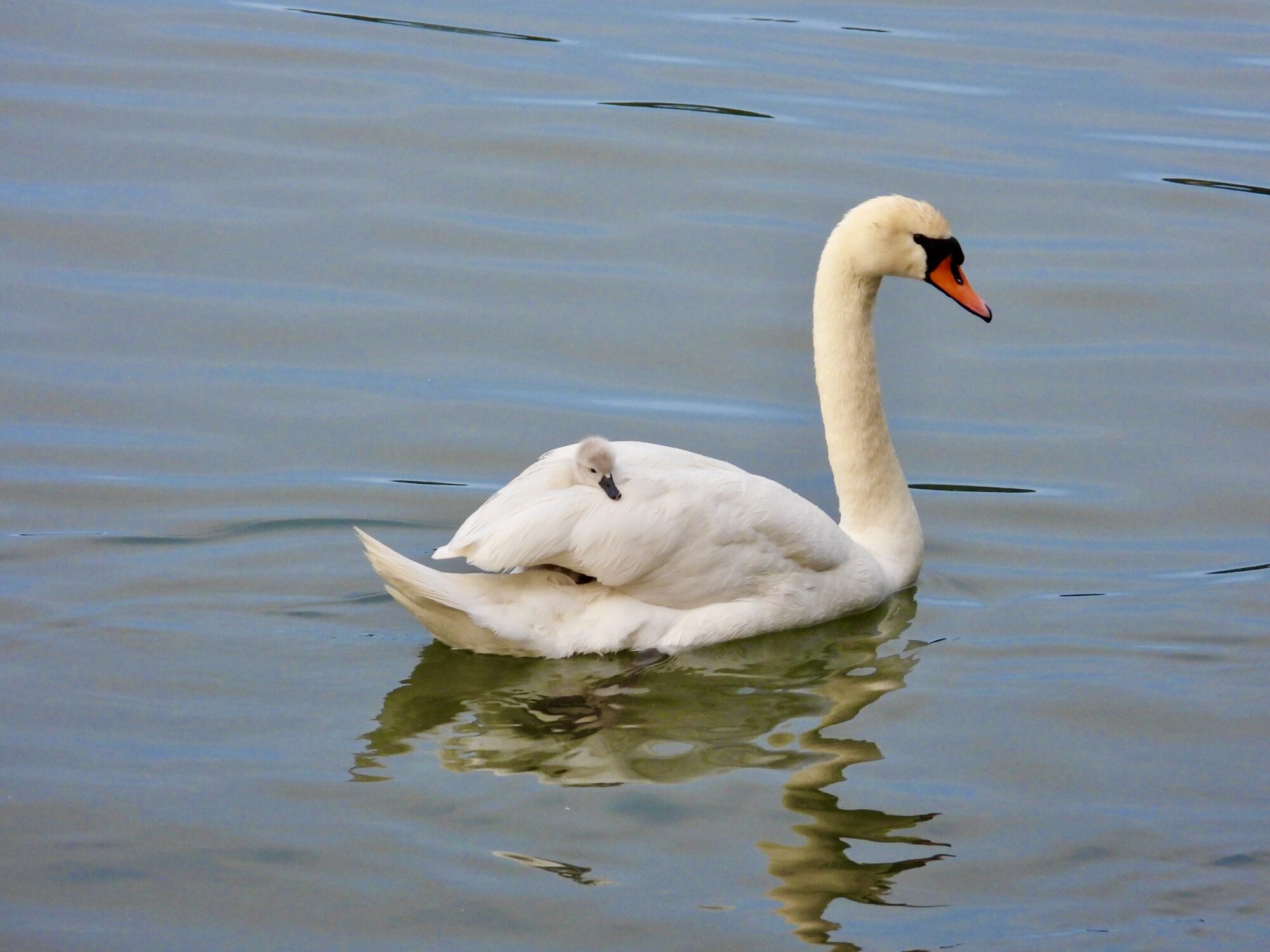 Valokuvaaja: Juhani Peltonen