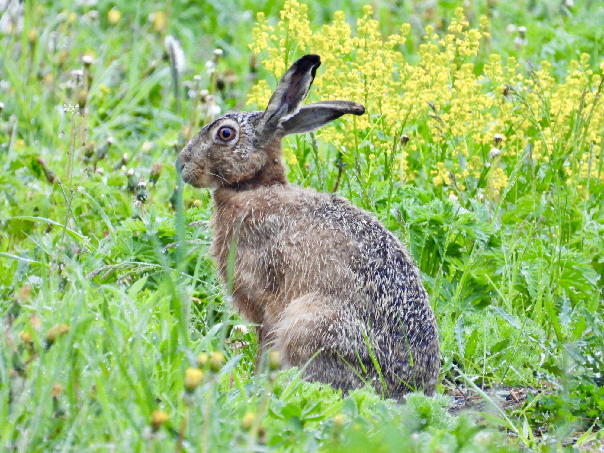 Valokuvaaja: Juhani Peltonen