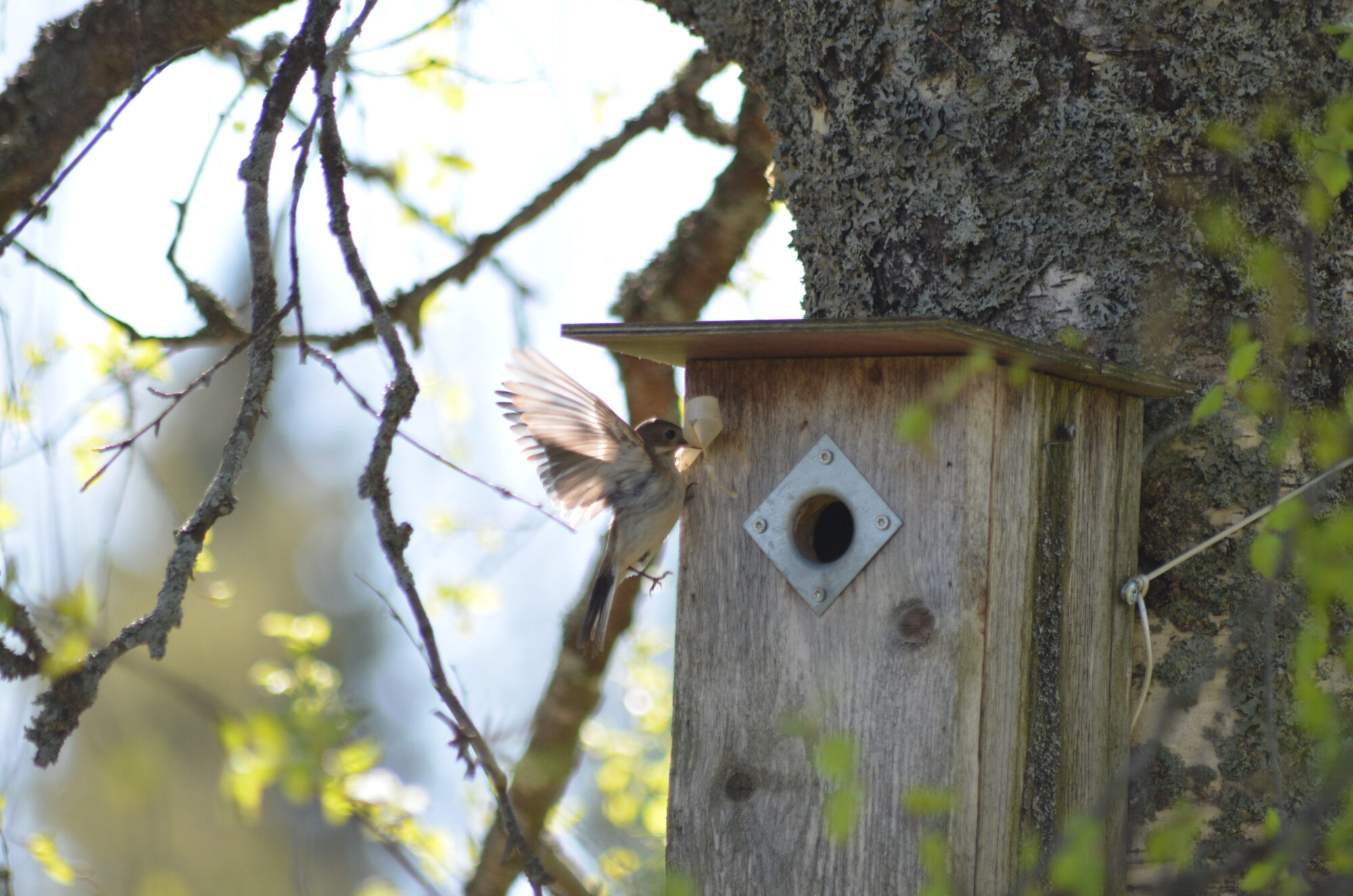 Valokuvaaja: Toni Asikainen