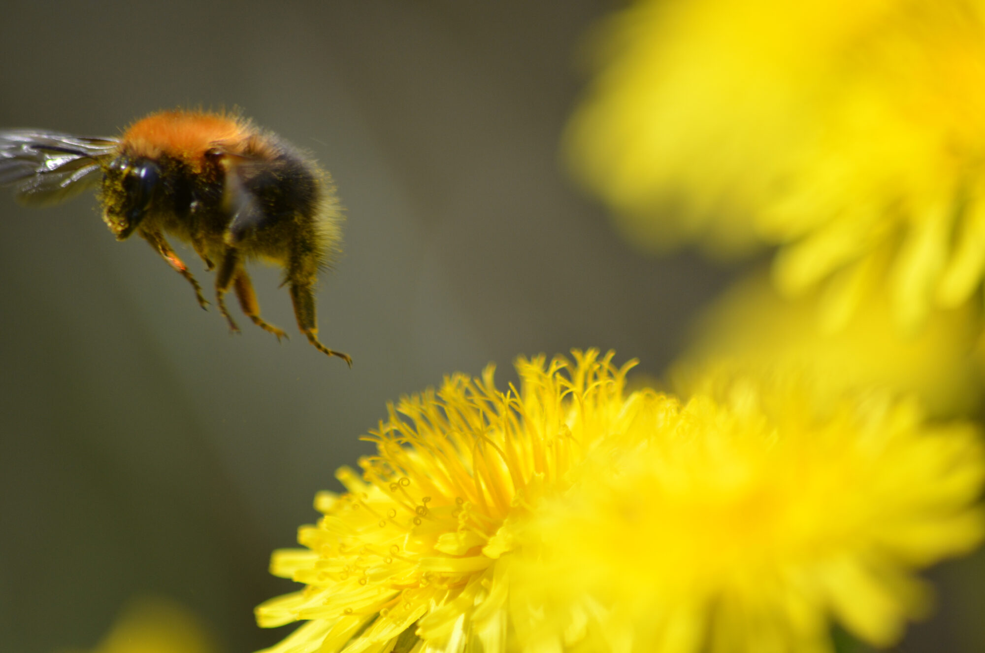 Valokuvaaja: Toni Asikainen