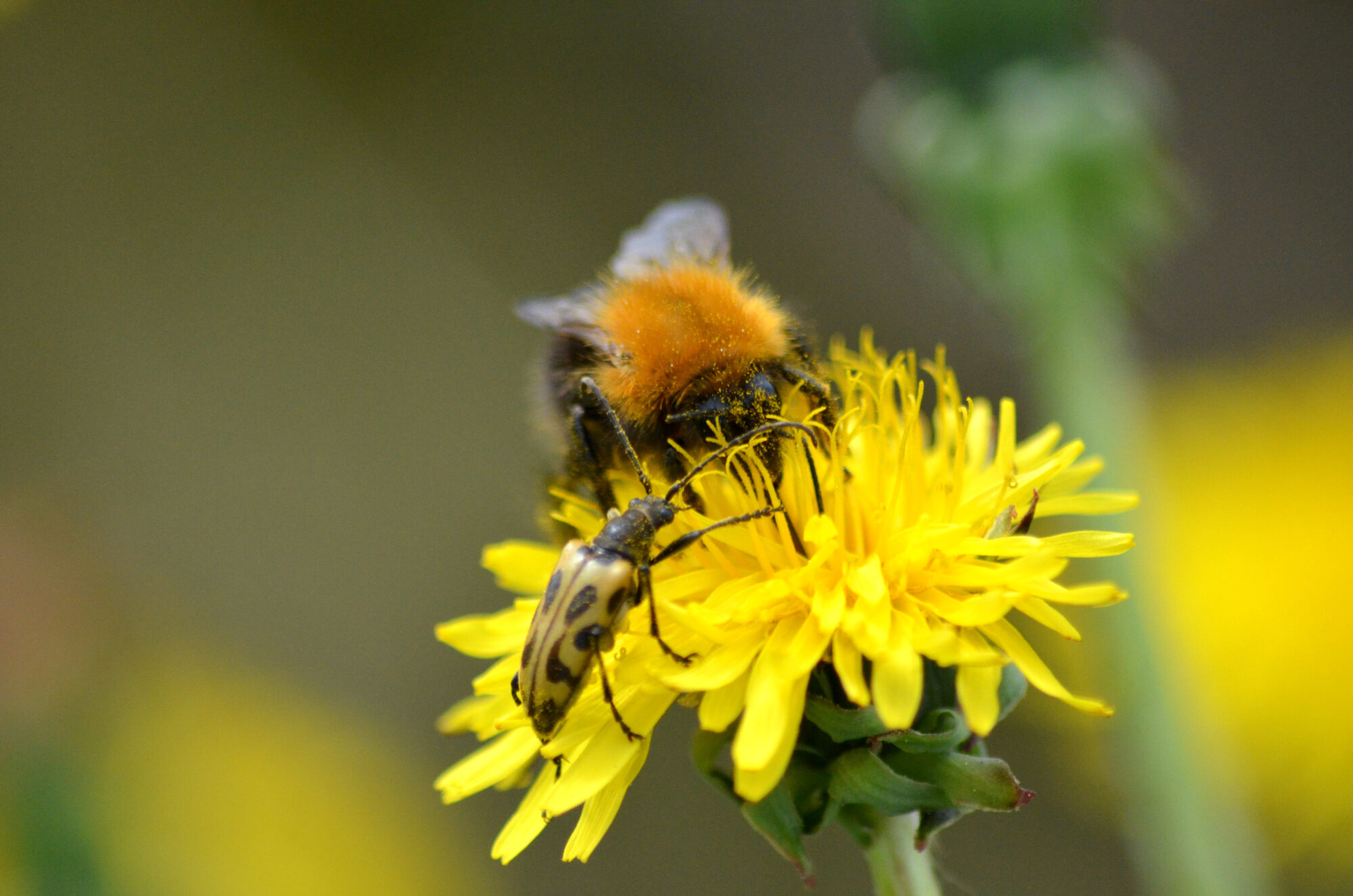 Valokuvaaja: Toni Asikainen