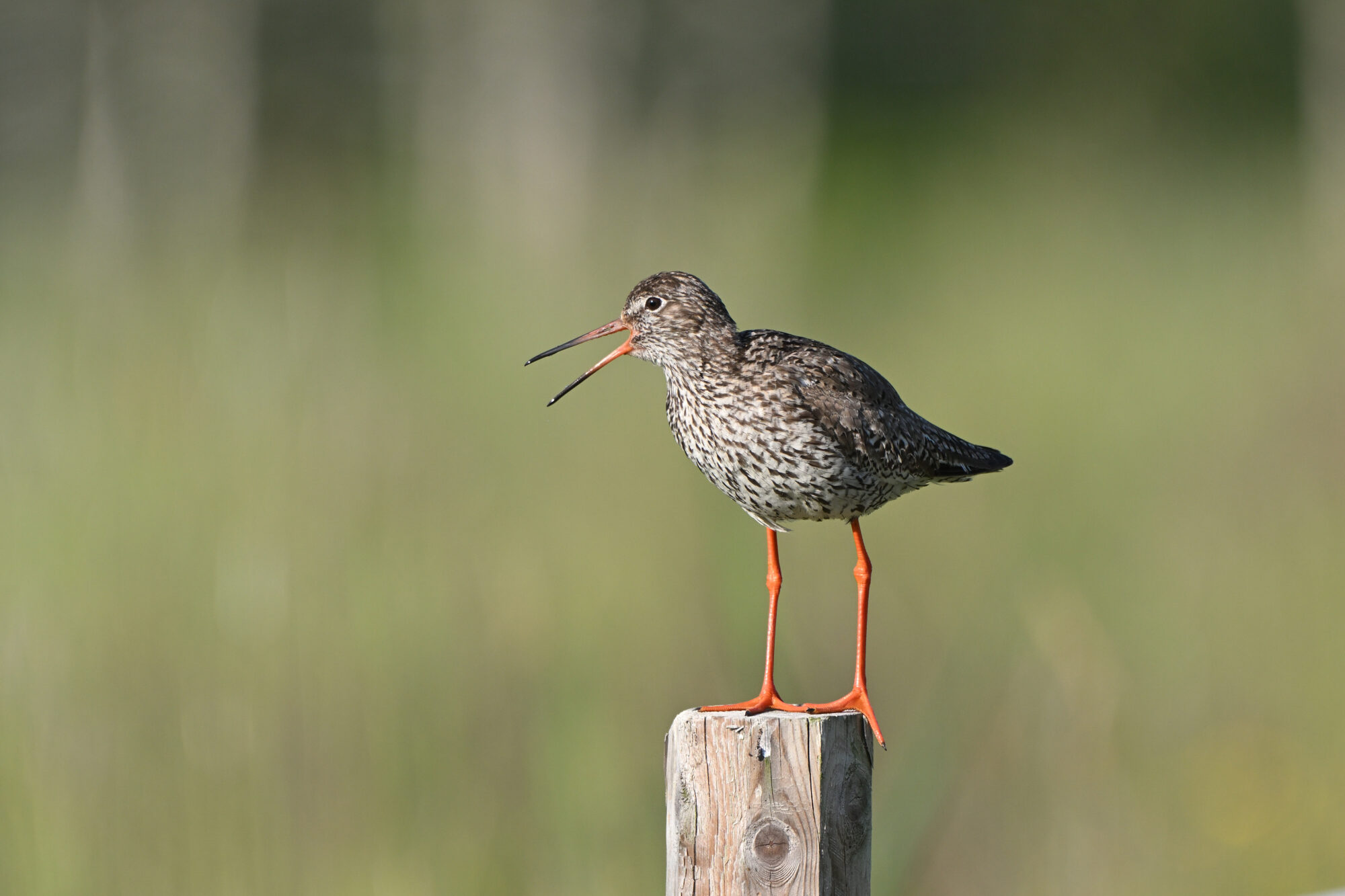 Valokuvaaja: Asko Heikkinen